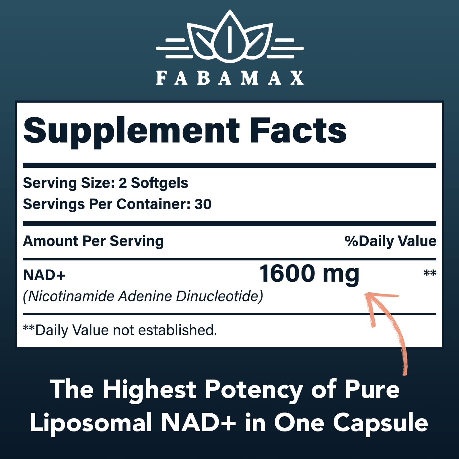 Fabamax 1600 mg Liposomal NAD Supplement, 98% Pure NAD+ Supplement, Superior Absorption, Alternative to Nicotinamide Riboside or NADH to Boost NAD+ for Aging Defense, Energy, Longevity,60 Softgels Fabamax uk supplements