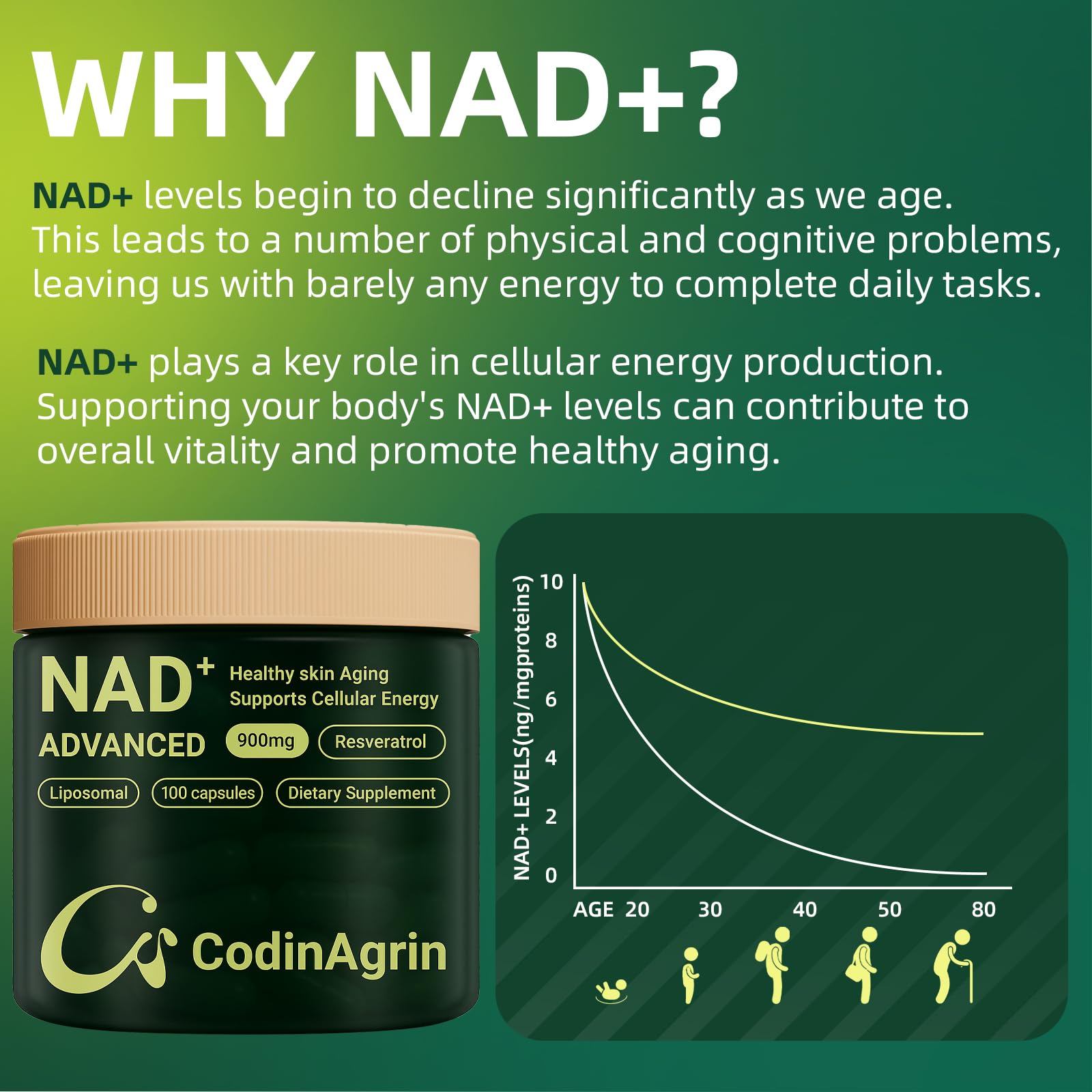 CodinAgrin NAD+ Supplement with Resveratrol 900mg Nicotinamide Adenine Dinucleotide Complex for Cellular Energy Repair, Anti-Aging & Mental Clarity Support, Non-GMO, Vegetarian Friendly, 100 Capsules CodinAgrin uk supplements