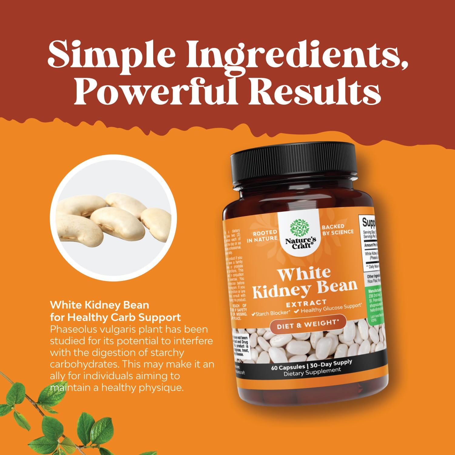 Natural White Kidney Bean Extract - White Kidney Bean Energy Booster AMPK Activator Natures Craft uk supplements