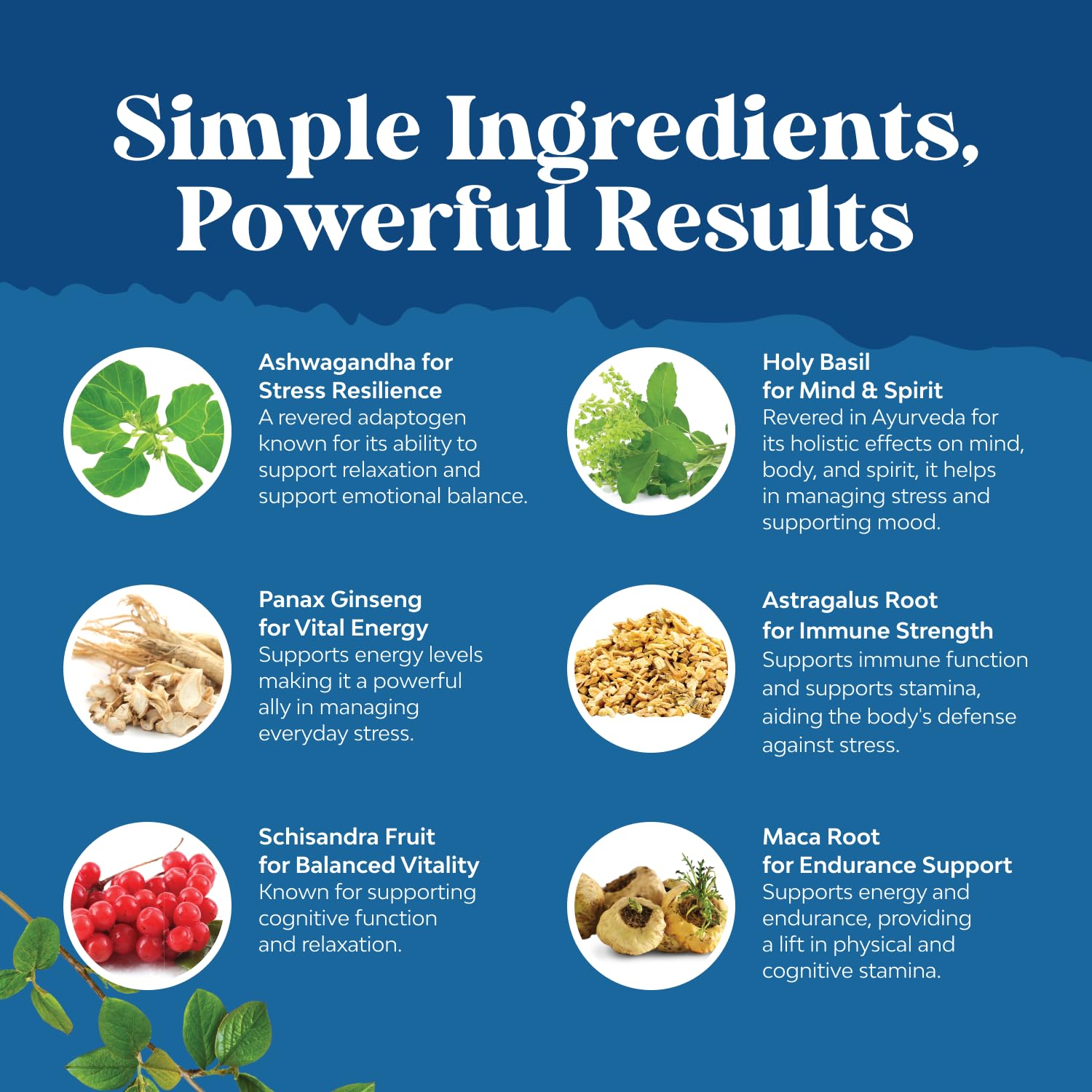 Herbal Adaptogen Mood Support Supplement - Calming Adaptogens Supplement for Stress & Cortisol Management with Ashwagandha Rhodiola Rosea & Maca Root - Vegan & Daytime Friendly - 60 Count Natures Craft uk supplements