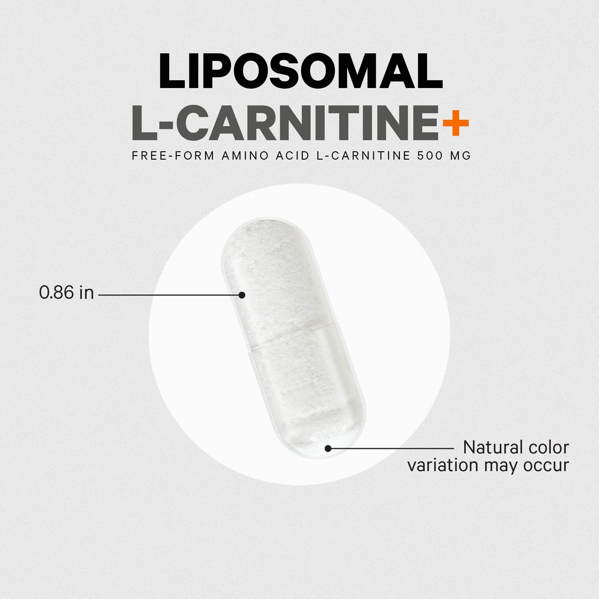 Codeage Liposomal L-Carnitine+ Supplement - 500 mg L-Carnitine L-Tartrate per Serving - Free-Form Amino Acid - Carnitine - Liposomal Delivery - Vegan, Non-GMO, Gluten-Free - 90 Capsules Codeage uk supplements