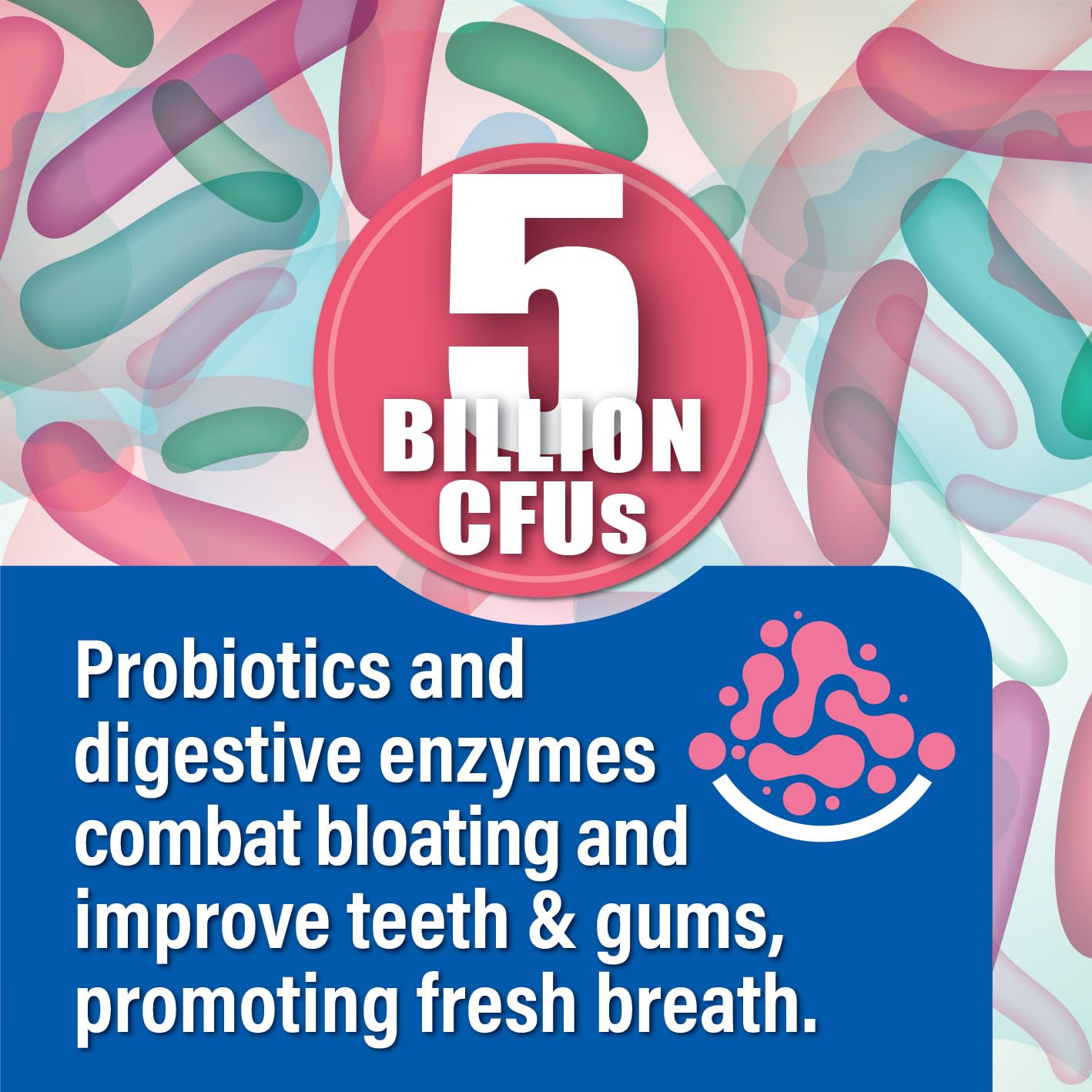 Probiotiv Chewable Probiotics for Daily Bloating w/ 5 Billion CFU – “Two-in-One Combo” Probiotiv uk supplements