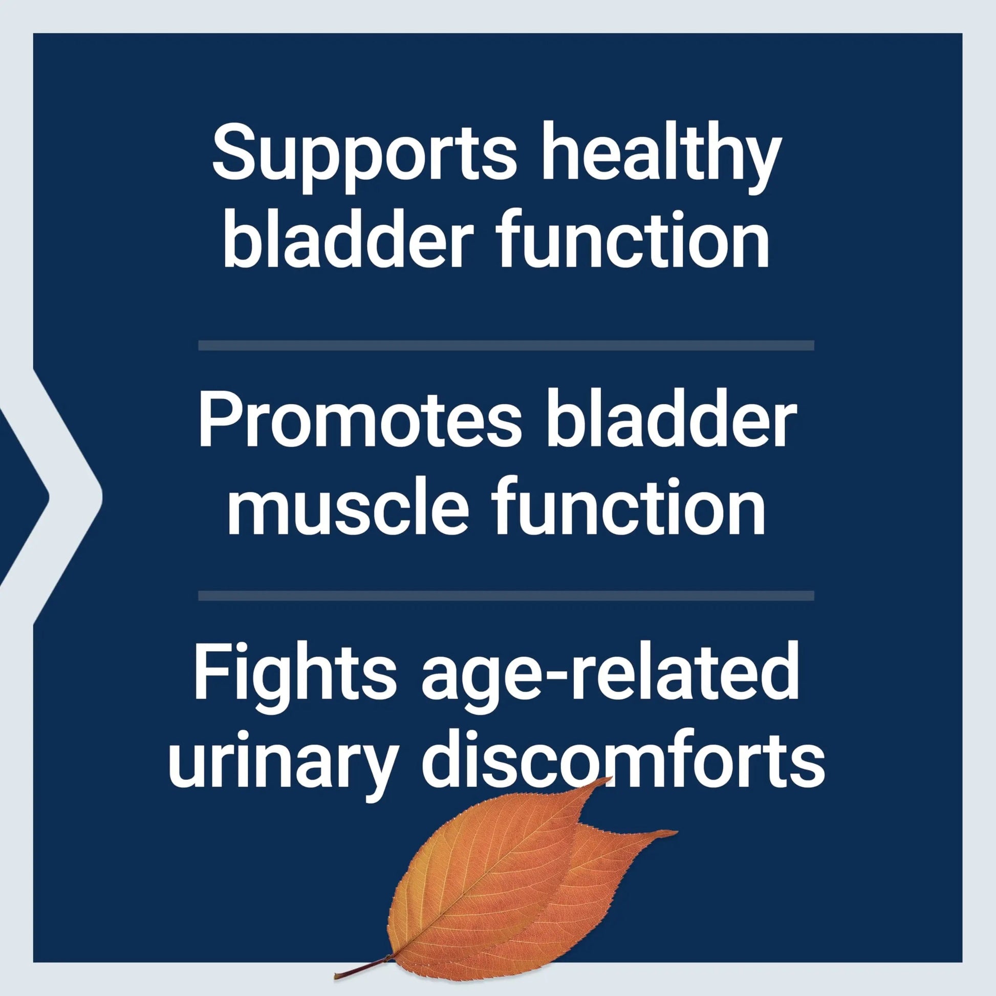 Life Extension Water-Soluble Pumpkin Seed Extract, Promotes Prostate & Urinary Tract Health, Bladder Health Support, Men, Women, Gluten-Free, Non-GMO, Vegetarian, 60 Capsules Life Extension uk supplements