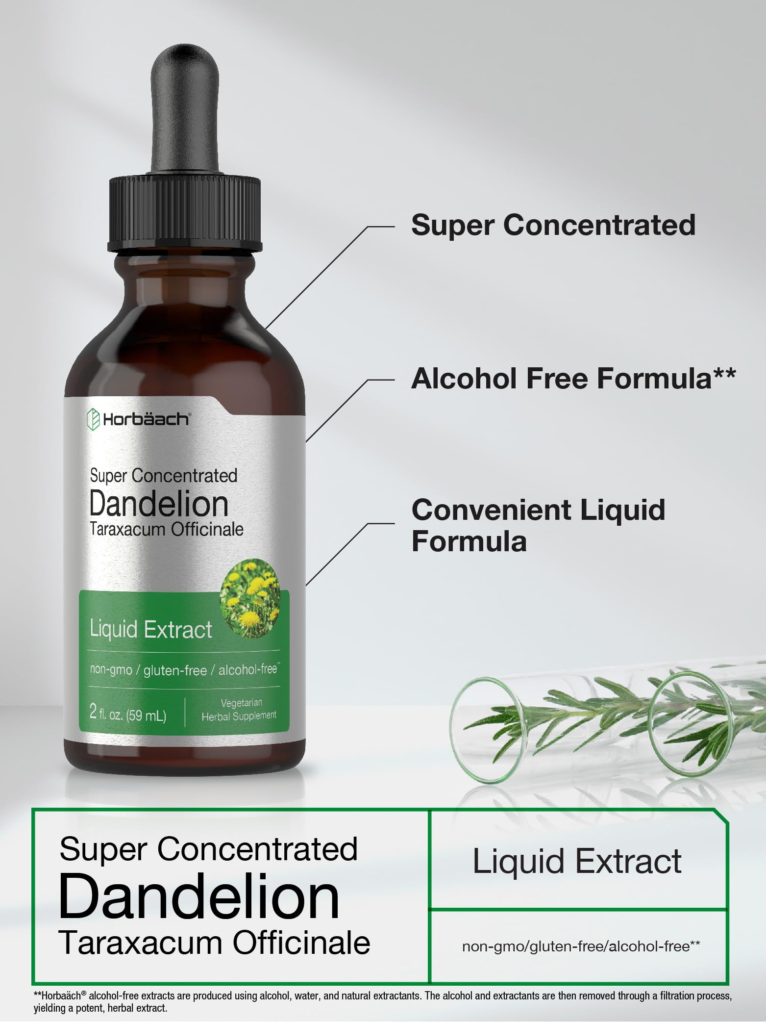 Dandelion Root Extract | 2 fl oz | Super Concentrated | Alcohol Free Liquid Tincture Horbäach uk supplements