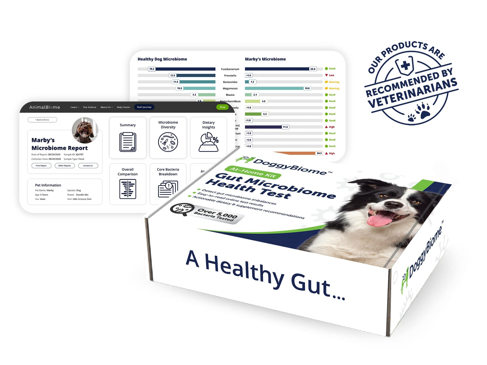 AnimalBiome Dog Gut Health Test – DoggyBiome At Home Stool Testing Kit, Canine Fecal Analysis for Digestive Issues, Diarrhea & Allergy Insights w/Personalized Report & Custom Plan (Dogs Outside US) AnimalBiome uk supplements