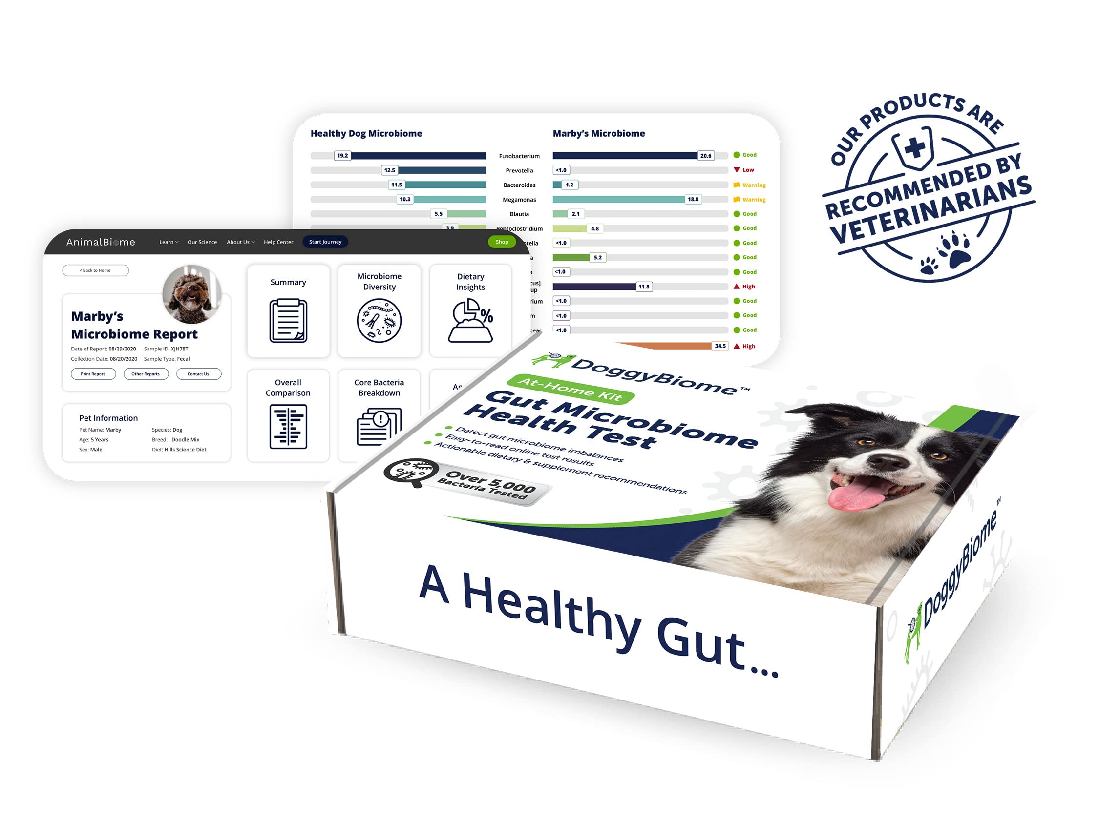 AnimalBiome Dog Gut Health Test – DoggyBiome At Home Stool Testing Kit, Canine Fecal Analysis for Digestive Issues, Diarrhea & Allergy Insights w/Personalized Report & Custom Plan (Dogs Outside US) AnimalBiome uk supplements