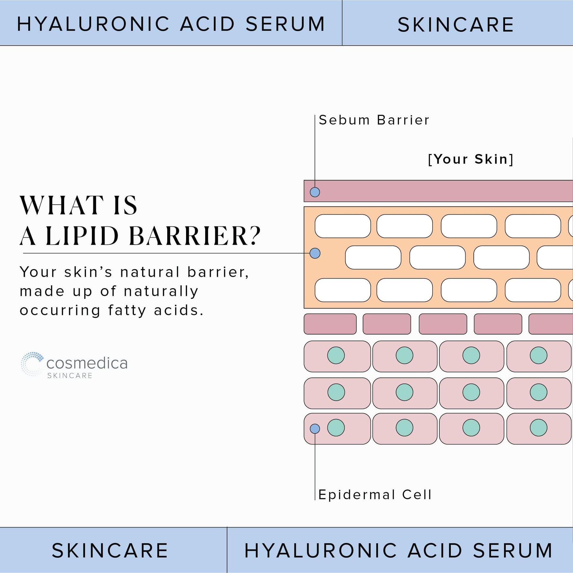 Hyaluronic Acid Serum for Skin 100% Pure Anti Aging Serum Intense Hydration Cosmedica Skincare uk supplements