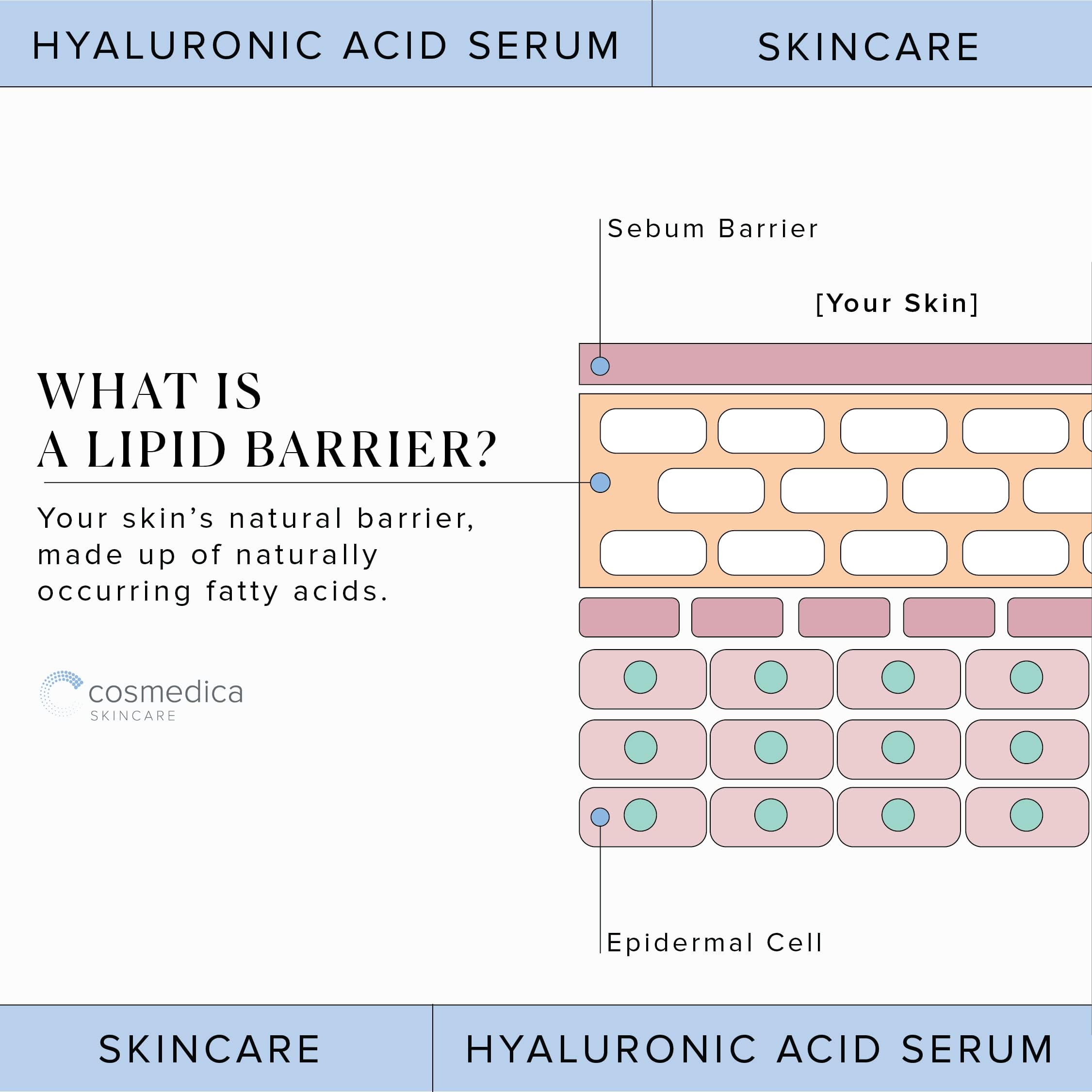 Hyaluronic Acid Serum for Skin 100% Pure Anti Aging Serum Intense Hydration Cosmedica Skincare uk supplements