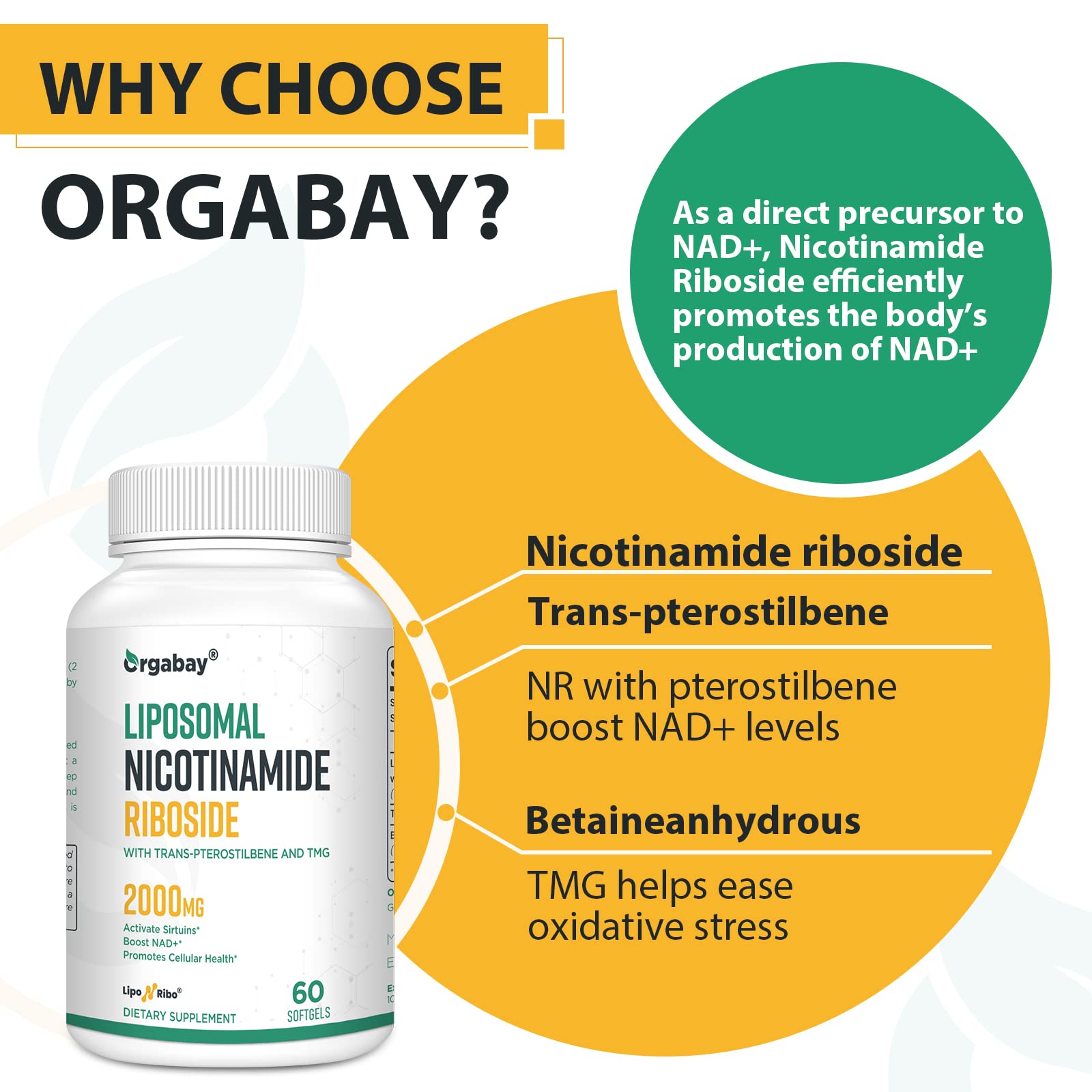 Liposomal Nicotinamide Riboside 2000 MG with TMG and Pterostilbene, Similar to NMN Supplements Boost NAD+, Support Healthy Aging, 240 Count Orgabay uk supplements