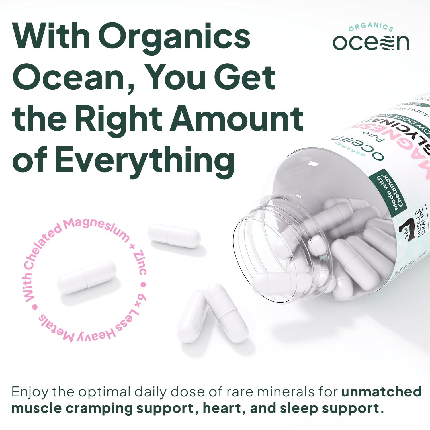 Organics Ocean Pure Magnesium Glycinate with Zinc - Maximum Strength Chelated Magnesium Supplement for Women and Men for Muscle Cramps and Sleep Support - 90 Capsule Organics Ocean uk supplements