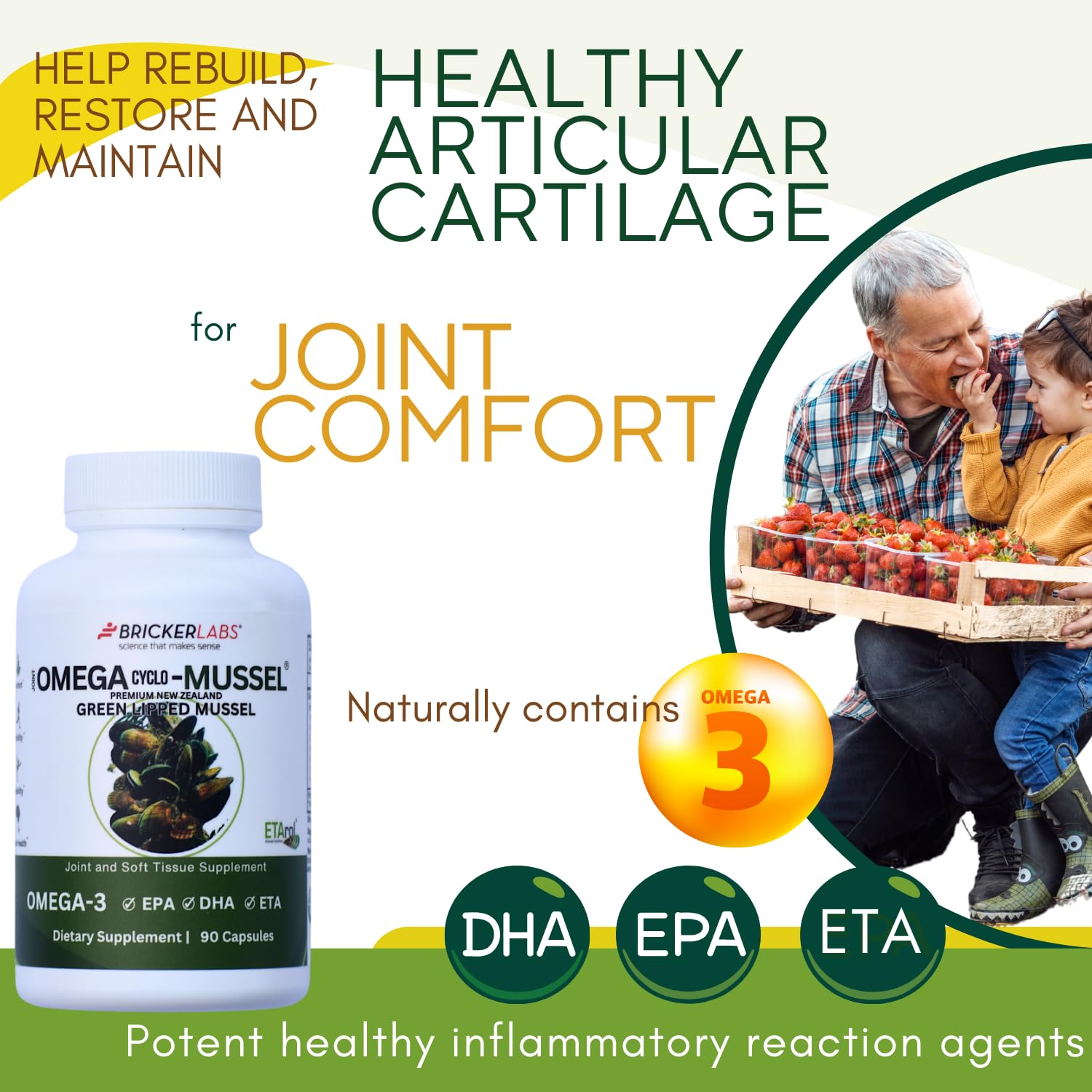 Bricker Labs Omega Cyclo - Mussel Joint Health Supplement, Premium New Zealand Green Lipped Mussel, Full Spectrum Omega Joint Supplements for Joint Health and Comfort, 90 Capsules Bricker Labs uk supplements