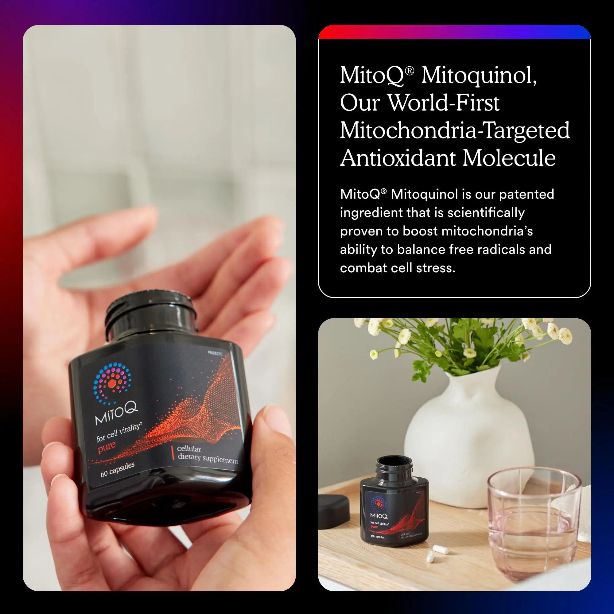 MitoQ Pure Advanced Mitochondria Supplement Superior Bioavailability to CoQ10 | Reduces Free Radical Damage for Healthy Aging, Metabolism, Heart Health, Energy, Strength & Mobility MitoQ uk supplements