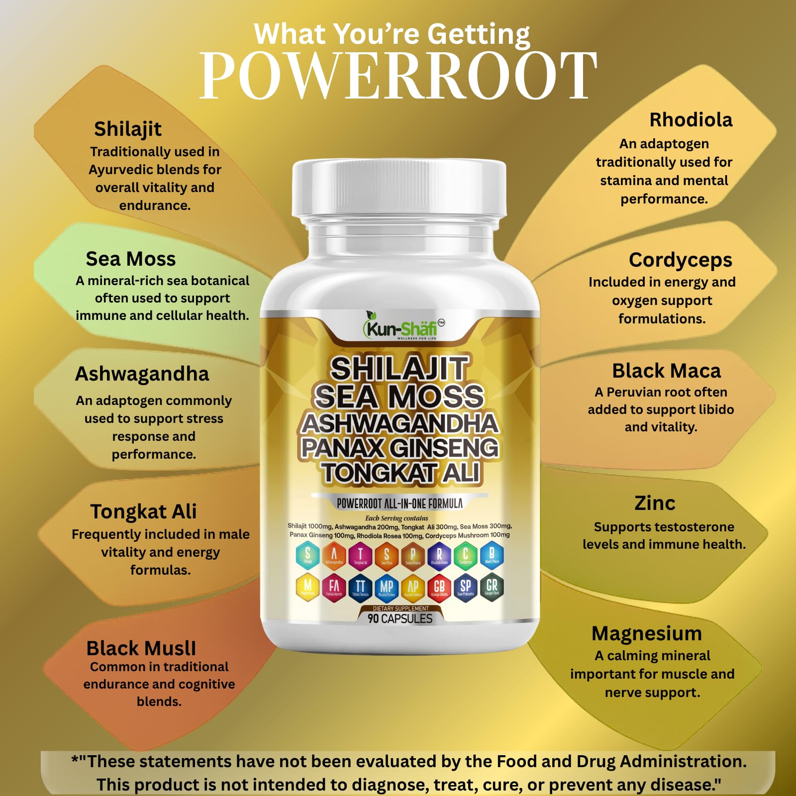 Kun Shafi Shilajit Complex – Sea Moss, Tongkat Ali, Ashwagandha, Ginseng, Zinc, CoQ10, PQQ & Magnesium – Fulvic Acid Capsules for Energy, Vitality & Performance with Panax Cordyceps – 90 Capsules Kun Shafi uk supplements