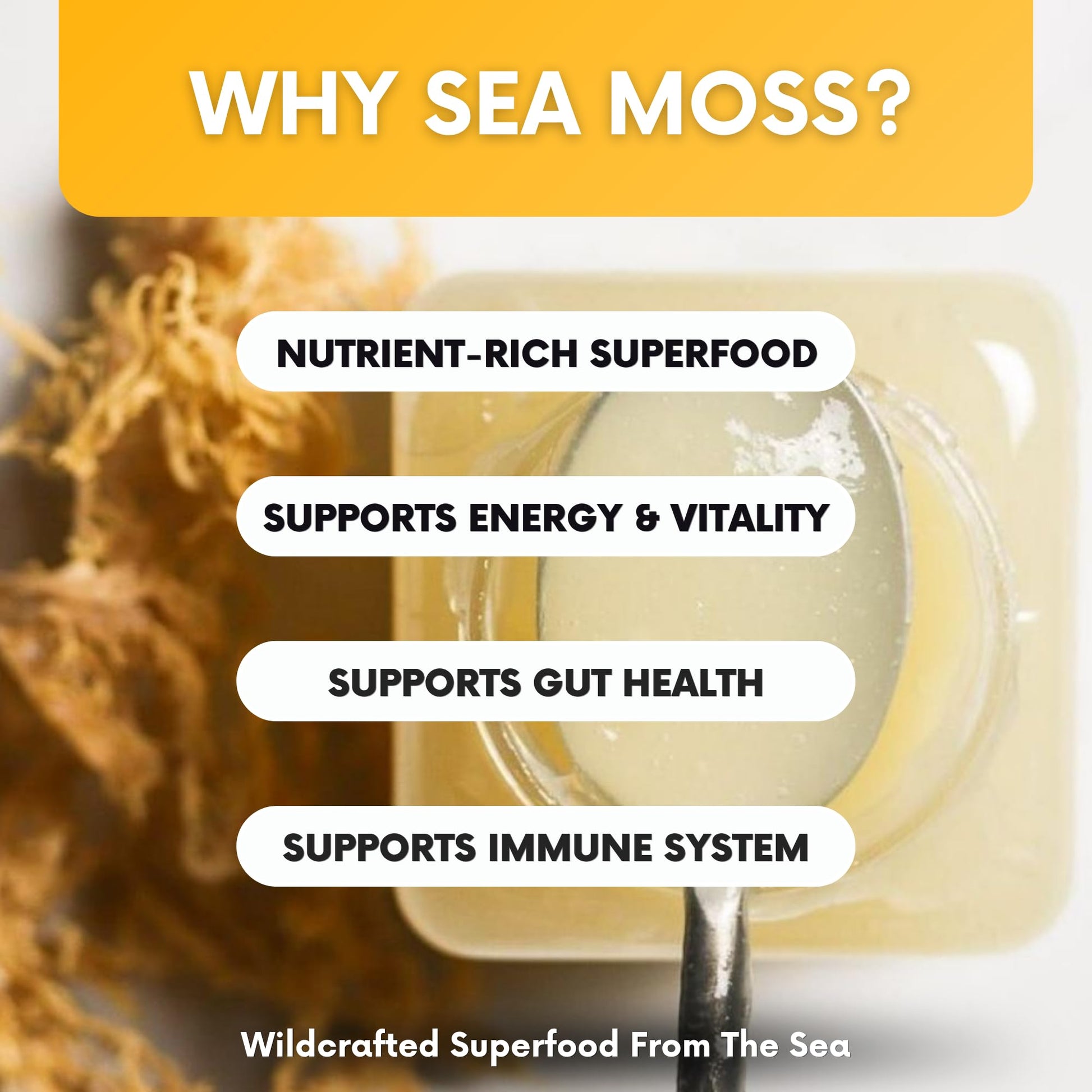 Joy Sea Moss Wildcrafted Irish Sea Moss Gel 16 oz | Made in USA | Gold Seamoss Superfood | Rich in Vitamins & Minerals | Real Fruit | Nutritional Supplement | Mango Joy Sea Moss uk supplements
