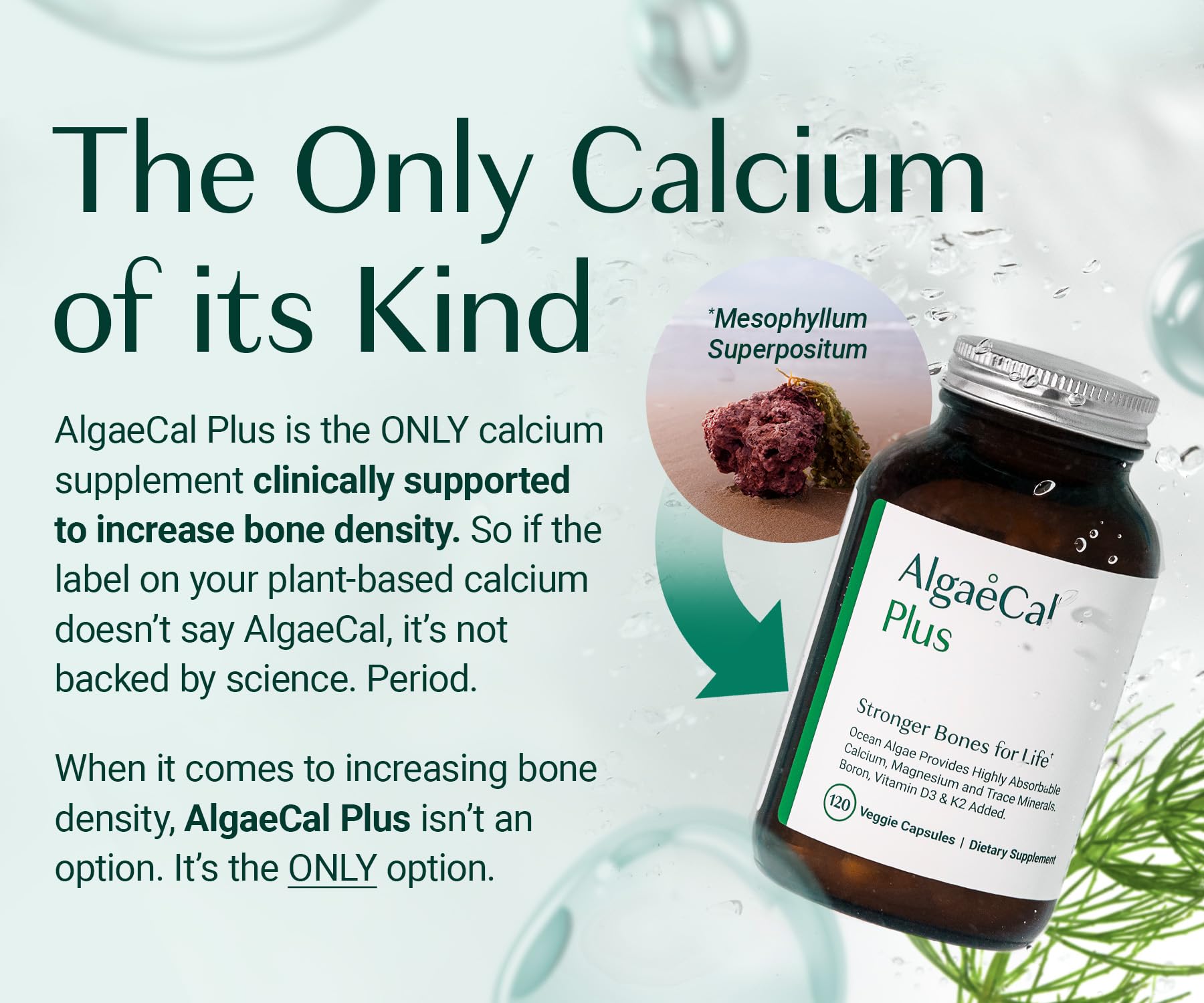 AlgaeCal - Bone Builder Pack for Bone Density Increase, Clinically Supported Plant Based Calcium Supplement & Strontium, Vitamins K2 (100mg), D3 (1600 IU), Magnesium & 16 Essential nutrients ALGAECAL uk supplements