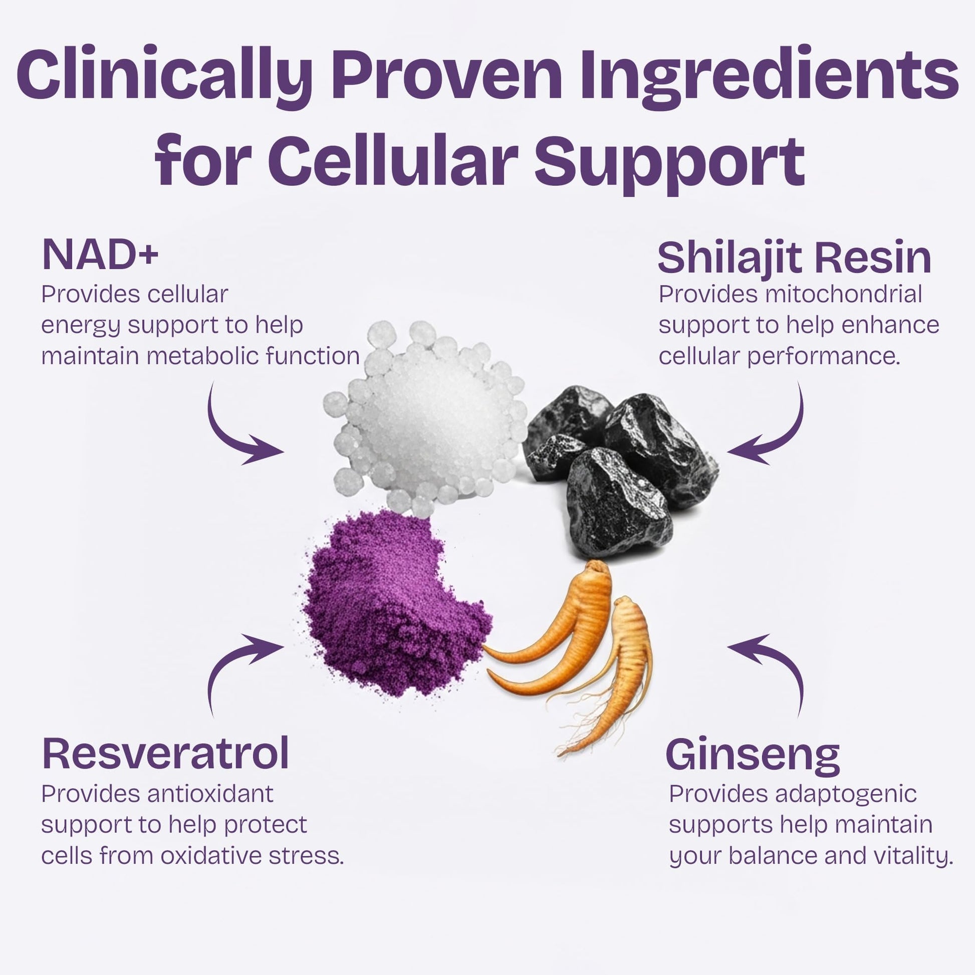 NAD Supplements for Women with Resveratrol, 1000mg Liposomal Nicotinamide Riboside with Quercetin, NMN Supplement Alternative Supports Cellular Energy & Repair, 120 NAD Gummies for Brain Boost Shailee uk supplements