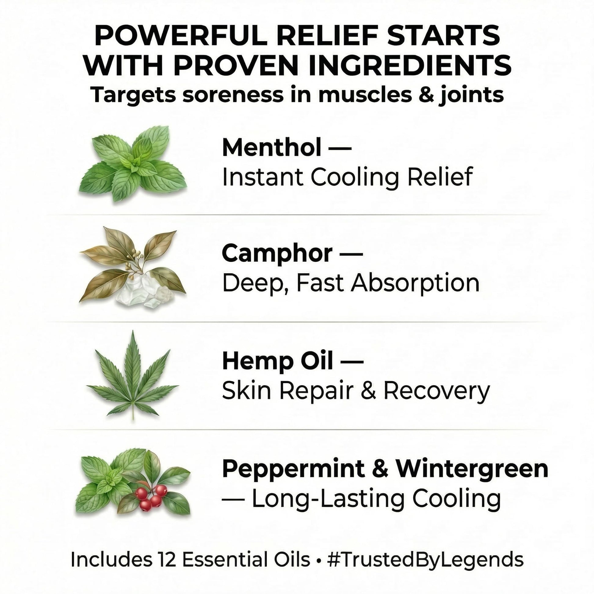 ZEN Hemp Balm 3 Pack – Fast-Acting Pain Relief for Muscles & Joints – Plant-Based Topical – 0.7 oz Each ZEN uk supplements