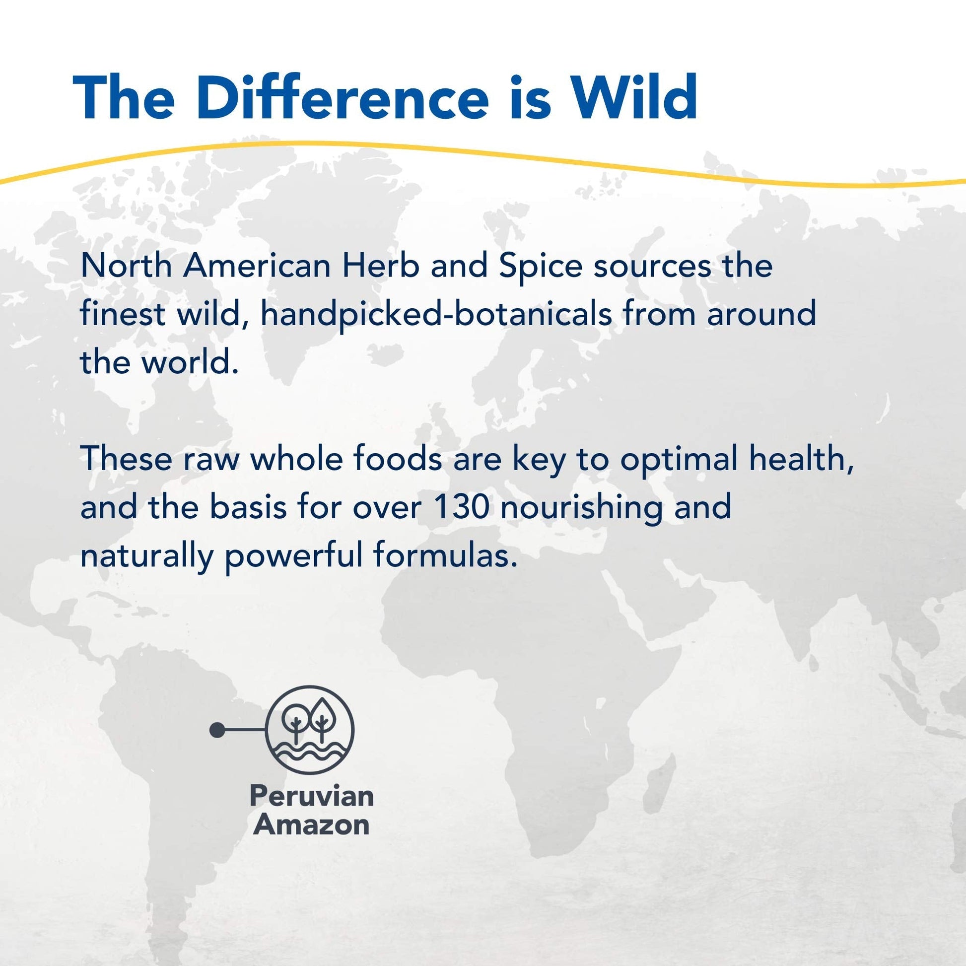 NORTH AMERICAN HERB & SPICE Inflam-eeZ - 90 Capsules - Supports Healthy Immune & Inflammatory Response - Ginger Root, Camu Camu Berries, Bromelain & Papain Plus - Non-GMO - 45 Total Servings NORTH AMERICAN HERB & SPICE uk supplements