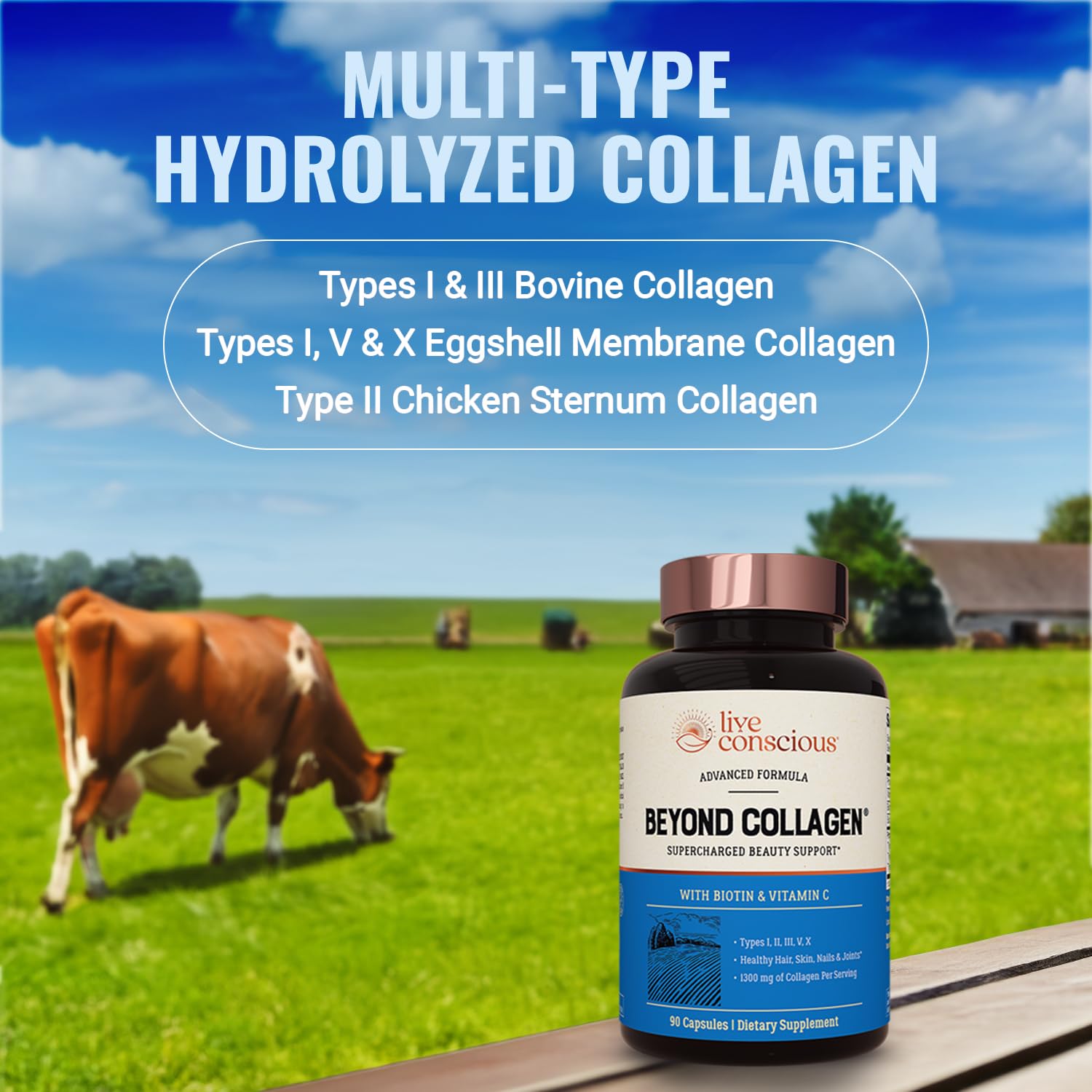 Live Conscious Beyond Collagen Multi Collagen Capsules - Types I, II, III, V & X - Hydrolyzed Blend with Biotin & Vitamin C for Hair, Skin, Nails 90 Capsules Live Conscious uk supplements
