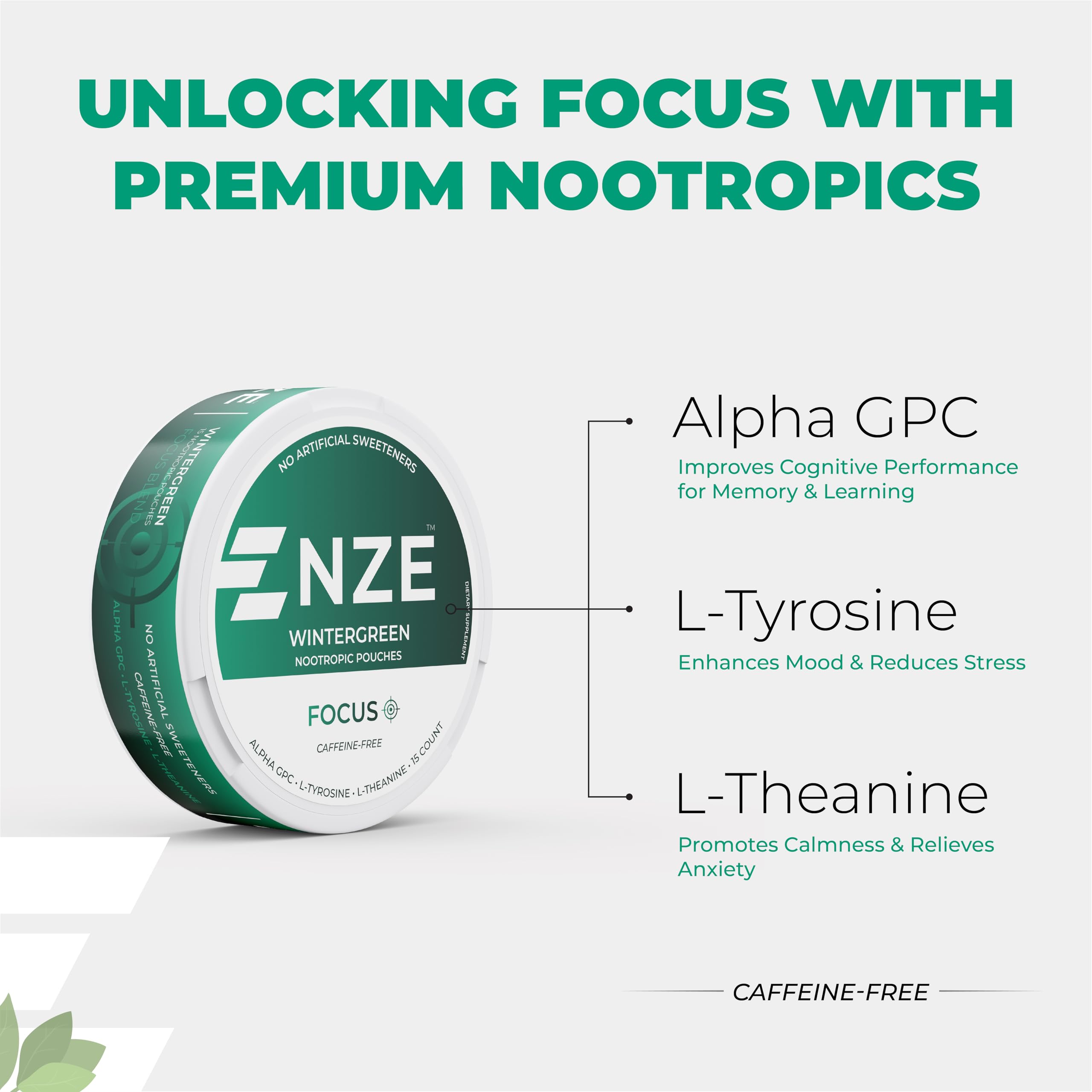 NZE Caffeine Free Nootropic Pouches (Wintergreen) - Nootropic Pouches with Alpha GPC, L-Tyrosine & L-Theanine - No Sugar or Artificial Sweeteners - 15 Pouches Per Can - 5 Pack NZE uk supplements