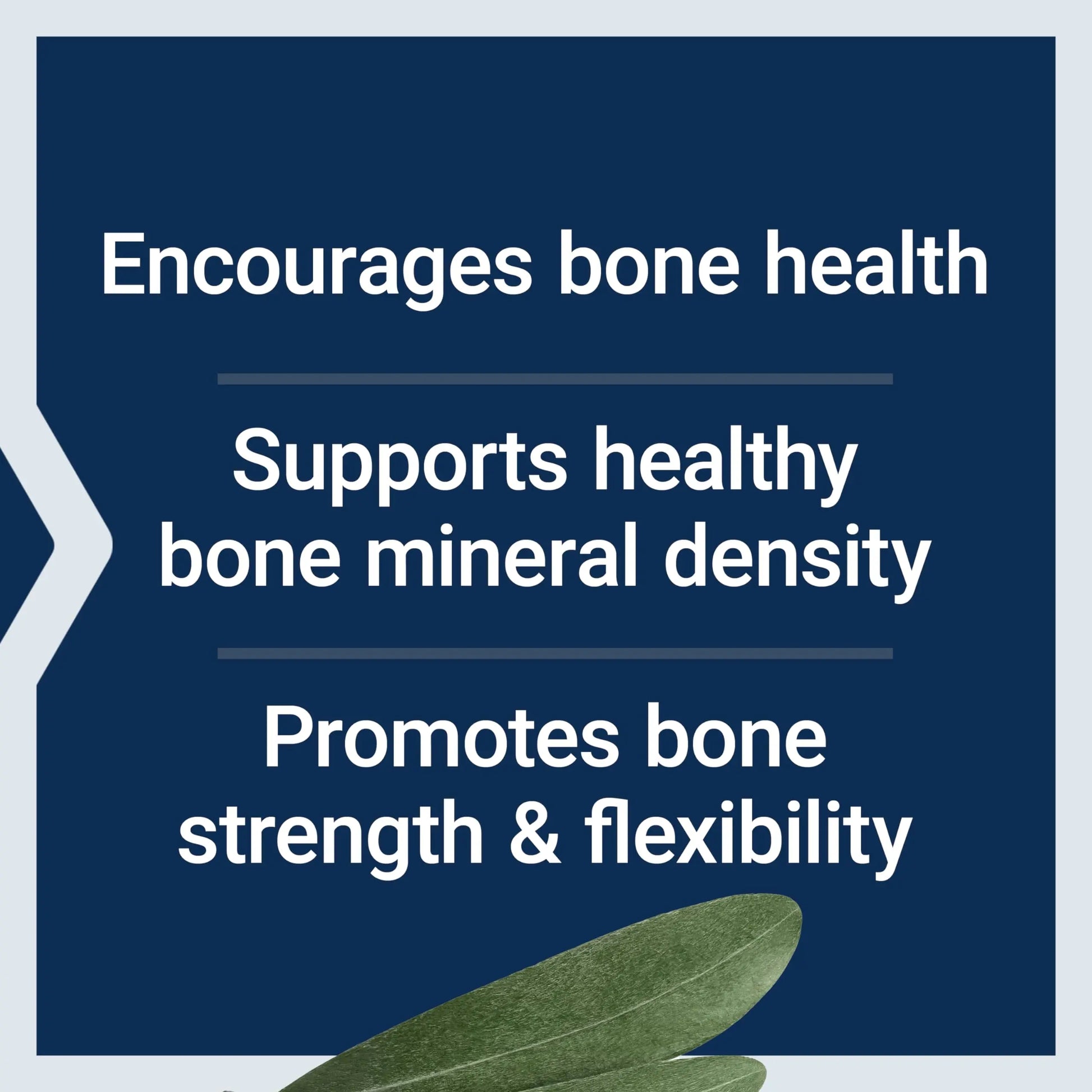 Life Extension Bone Strength Collagen Formula, Calcium Collagen chelate, Calcium fructoborate, Vitamin D3, Magnesium Citrate, Silicon, Boron, Gluten-Free, Non-GMO, 120 Capsules Life Extension uk supplements