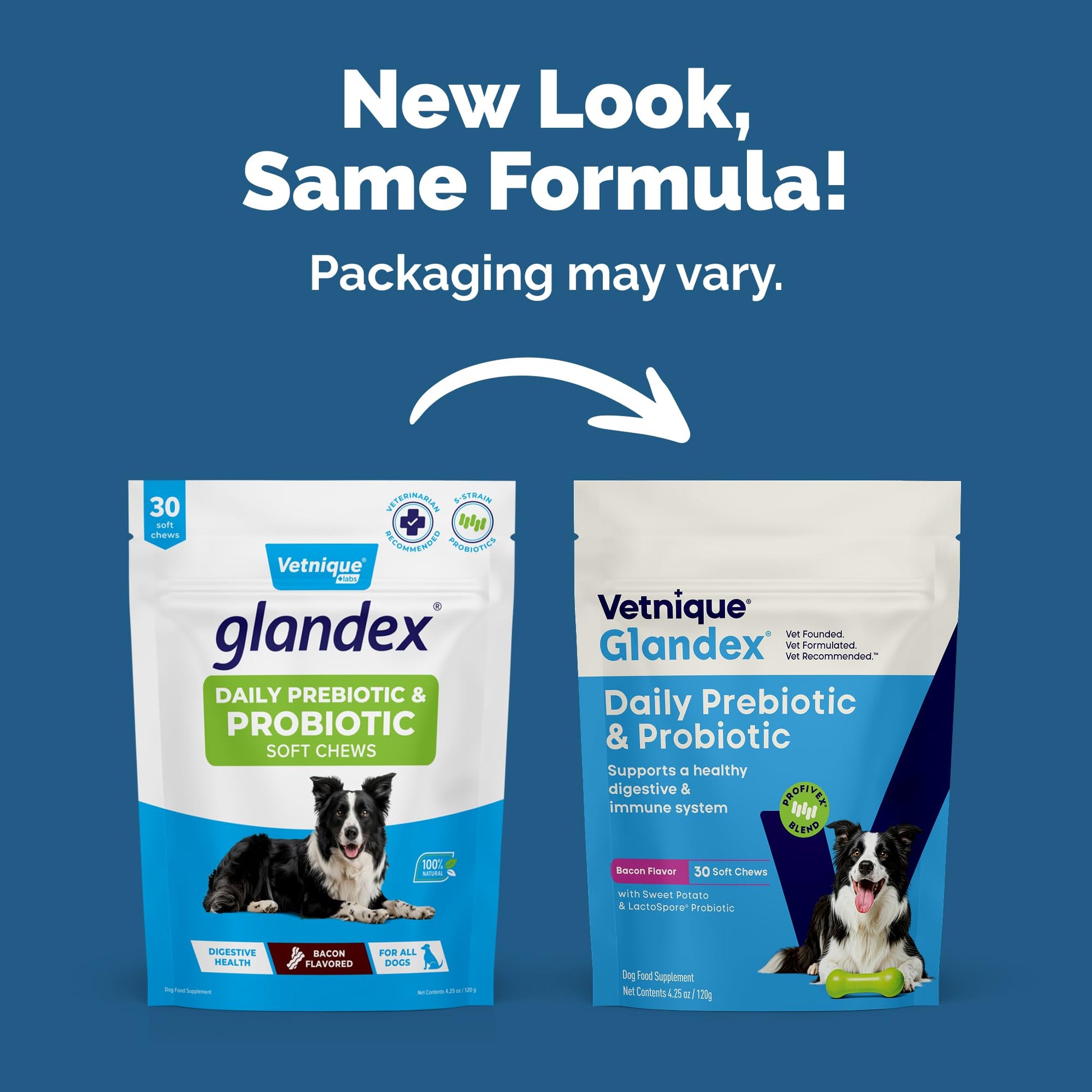 Vetnique Glandex Daily Probiotics for Dogs with Prebiotics to Support Gut Health with Fiber and Digestive Enzymes, Dog Probiotic Chews or Powders (30ct Chews, Bacon Chews) Vetnique uk supplements