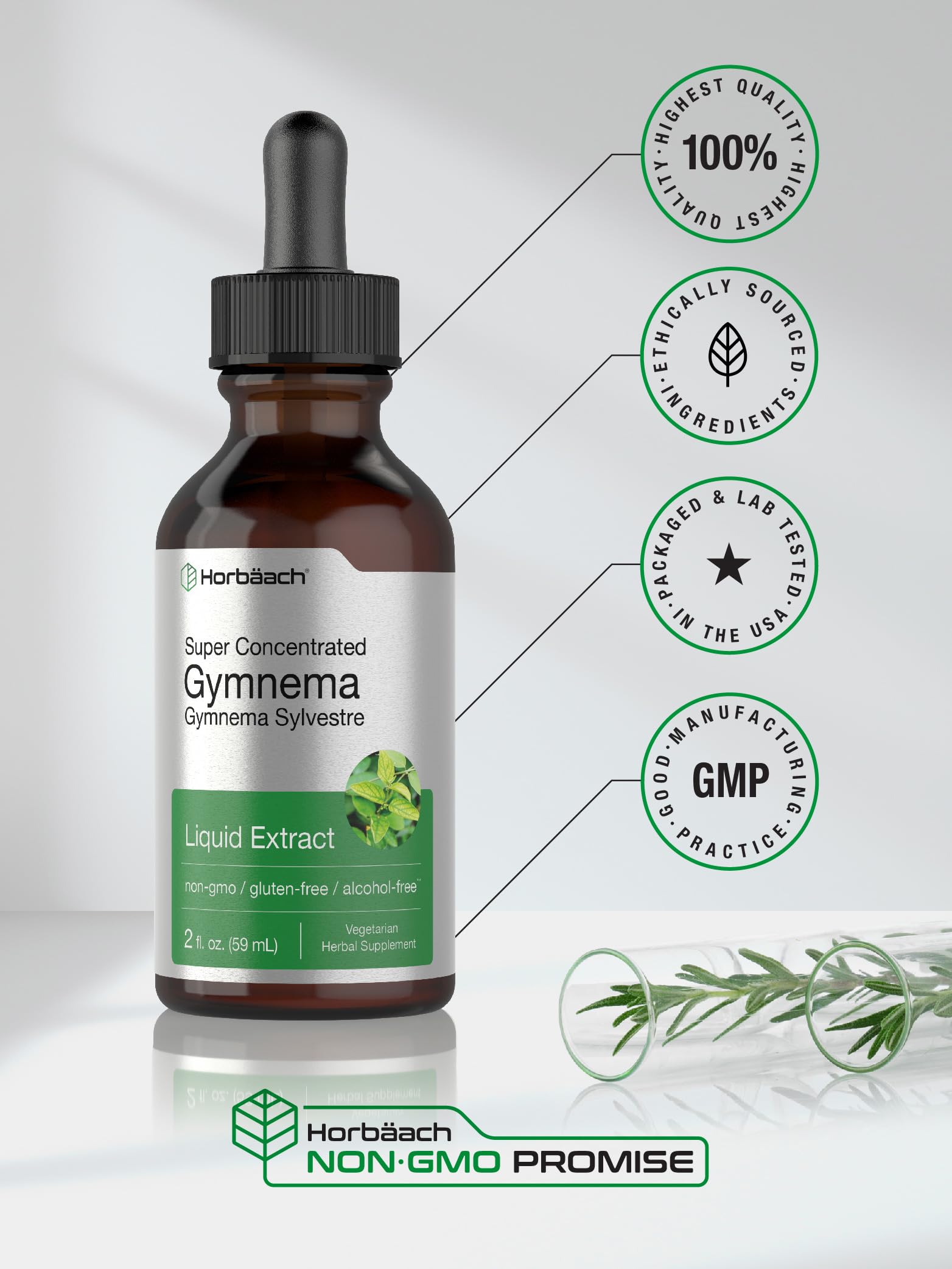 Gymnema Sylvestre Liquid | 2 fl oz | Alcohol Free Supplement | Super Concentrated Horbäach uk supplements