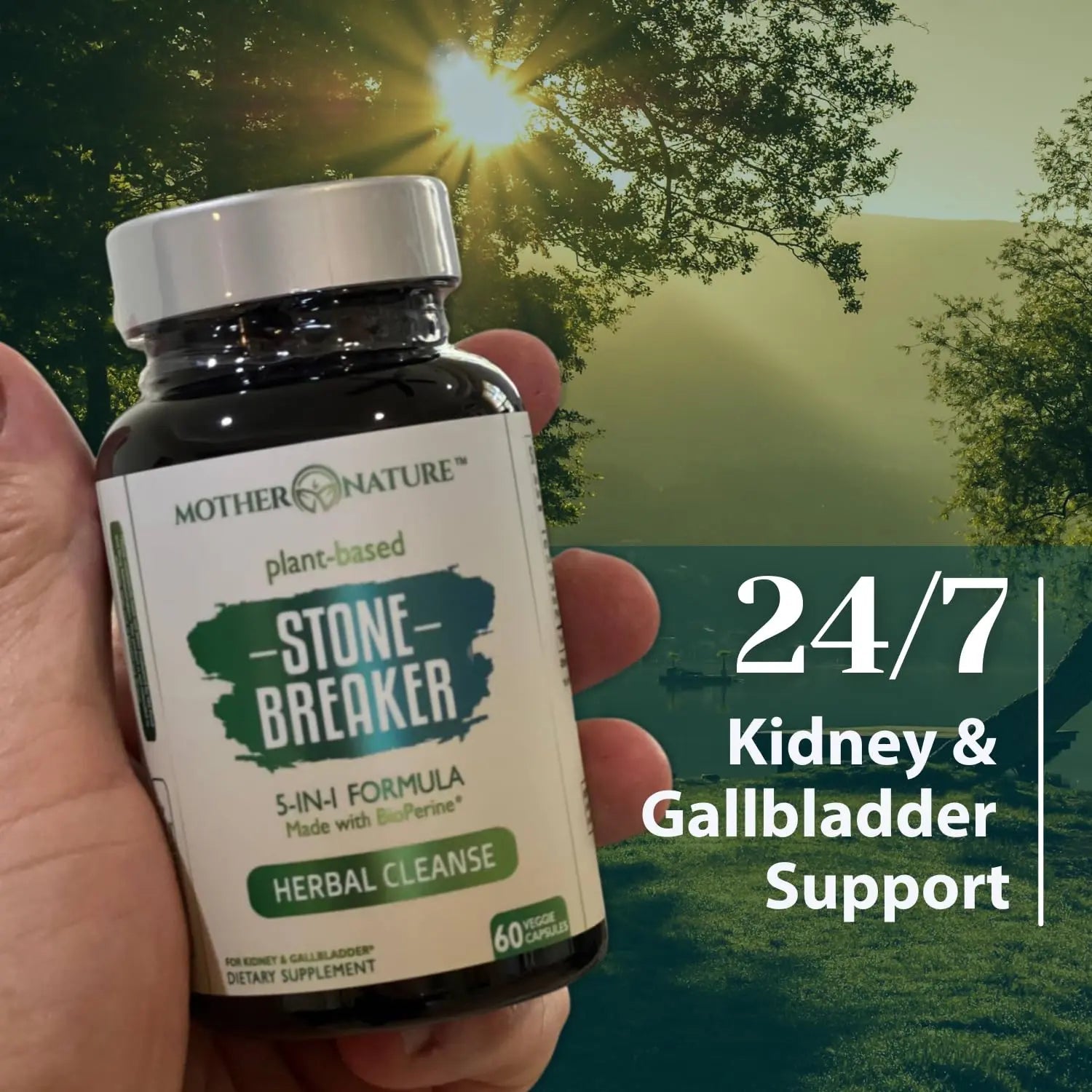 Stone Breaker Chanca Piedra Capsules, Dissolve Kidney & Gallbladder, Detoxify Urinary Tract, Flush Impurities, Kidney Support with Celery Seed Extract - 60 Veg Capsules Mother Nature Organics Superfoods for Organic Living uk supplements
