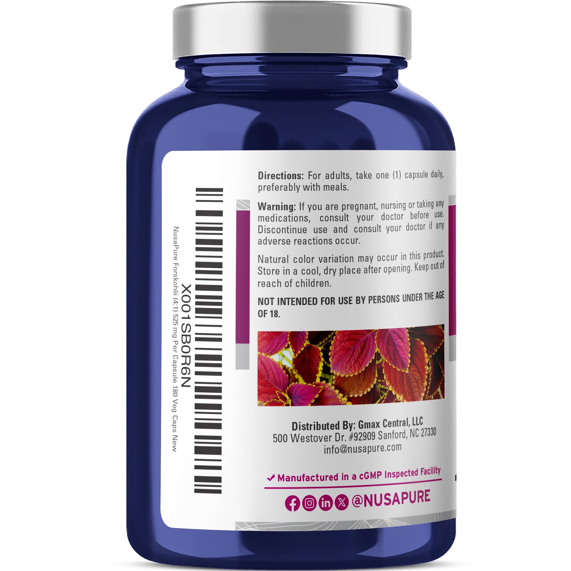 NusaPure Forskohlii 4:1 Extract, 525 mg Equivalent to 21,00 mgper Veggie Caps - 180 Capsules (Non-GMO, Vegan & Gluten Free) NusaPure uk supplements