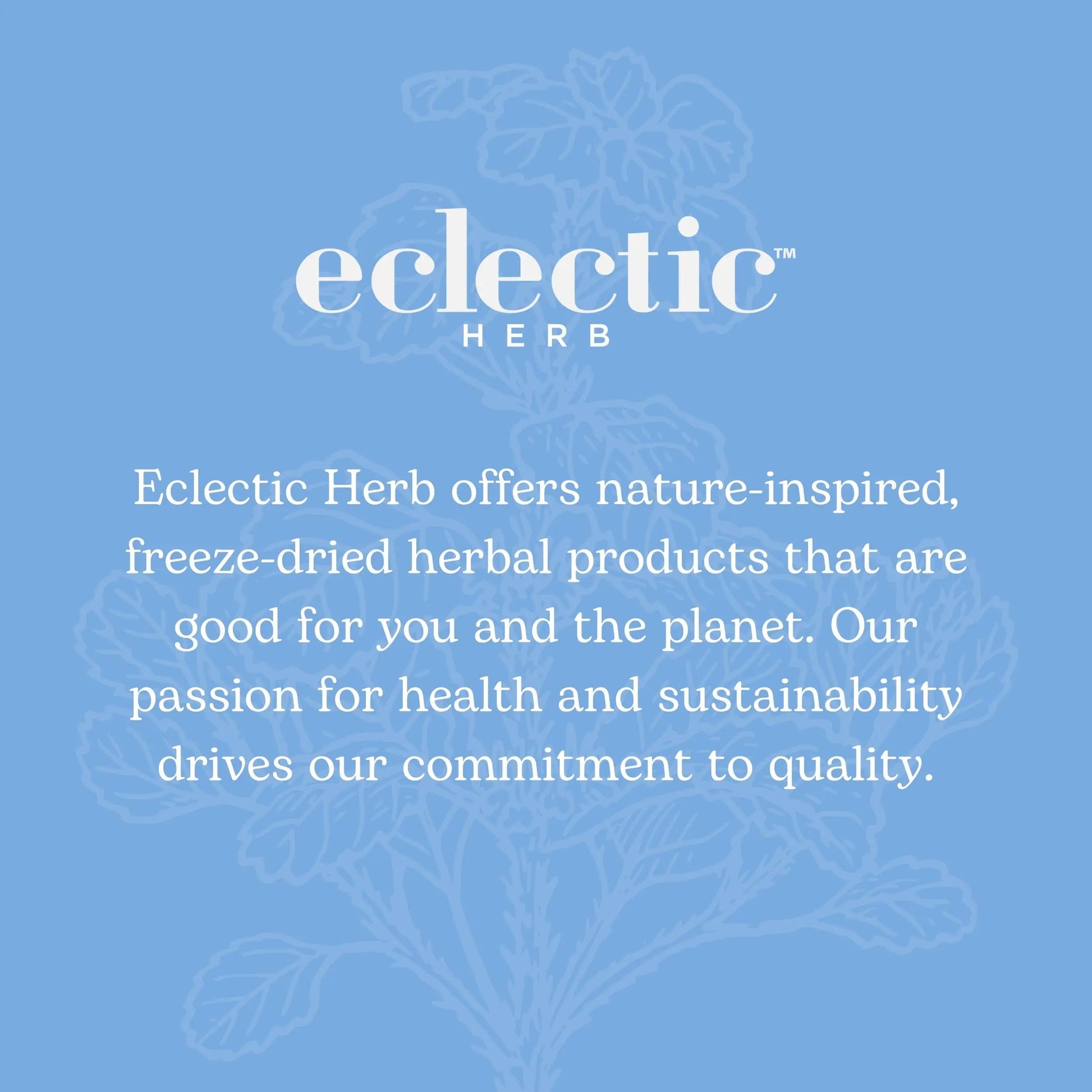 Eclectic Institute Stone Root O 2 Ounce ECLECTIC INSTITUTE uk supplements