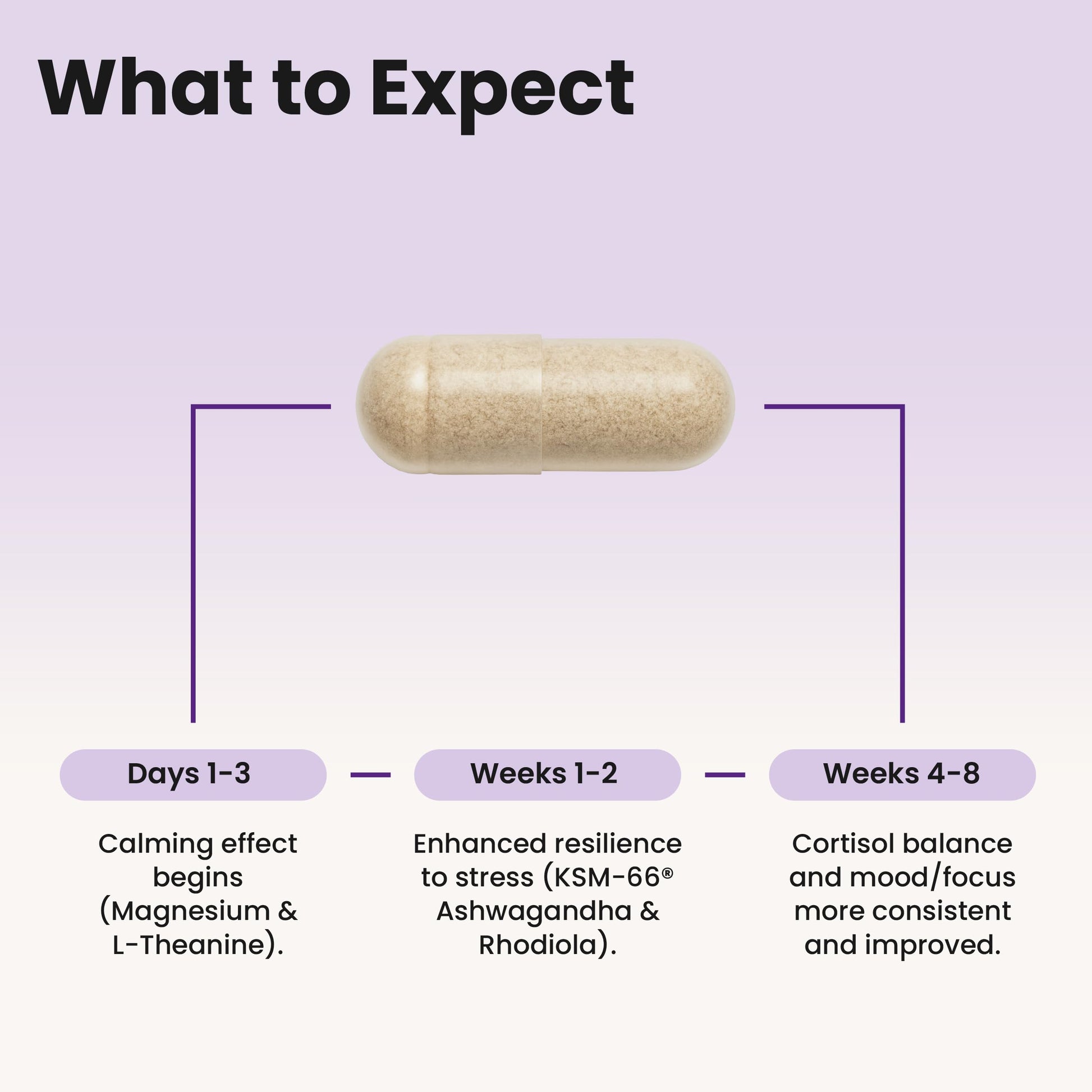 WellPath Soothe Cortisol Manager - Cortisol Supplements for Women with KSM-66® Ashwagandha & L-Theanine - Stress Support, Detox - 11-in-1 Complex, Vegan, Made in USA, Non-GMO, 60 Ct WellPath uk supplements