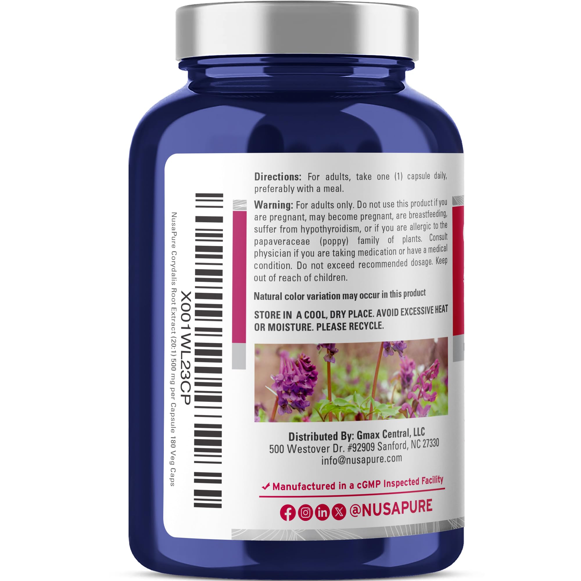 NusaPure Corydalis Root Extract 20:1 - Suitable for Vegetarian/Vegan, Non - GMO - 1000 mg - 180 Capsules NusaPure uk supplements