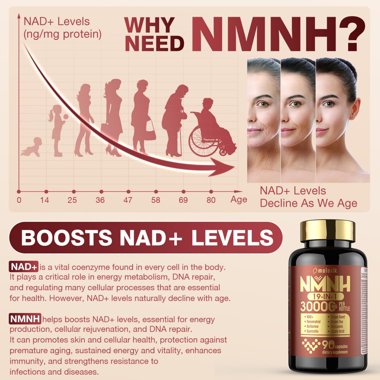 19 in 1 NMNH (Dihydronicotinamide Mononucleotide) 1000mg Per Serving, Nad Supplement Boost NAD+ Levels Nad Resveratrol Supplement with Quercetin, Vitamin D3 K2, Healthy Aging, Energy, 90 Capsules molorik pure uk supplements