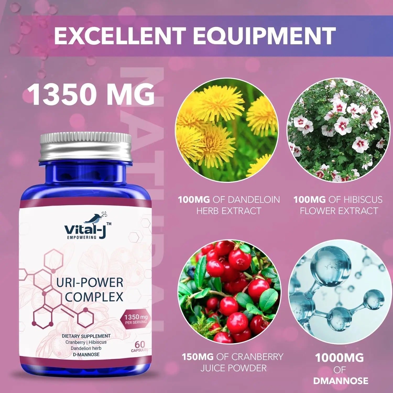 4-IN-1 URI POWER COMPLEX 1350mg - D Mannose, Cranberry, Hibiscus, and Dandelion Herb - Naturally Cleanse the Bladder and Urinary Tract 60 capsules – Specialized Approach for UTI Avoidance Vital-J Empowering uk supplements