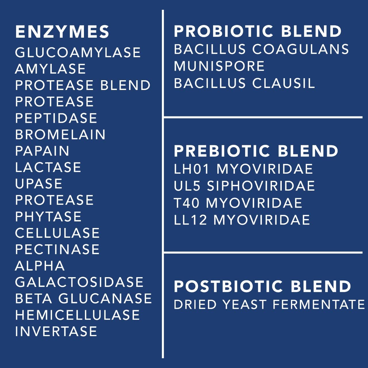 4-in-1 Prebiotic Probiotic & Postbiotic for Women & Men, Complete Gut & Digestive Support PLANT.O NUTRITION uk supplements
