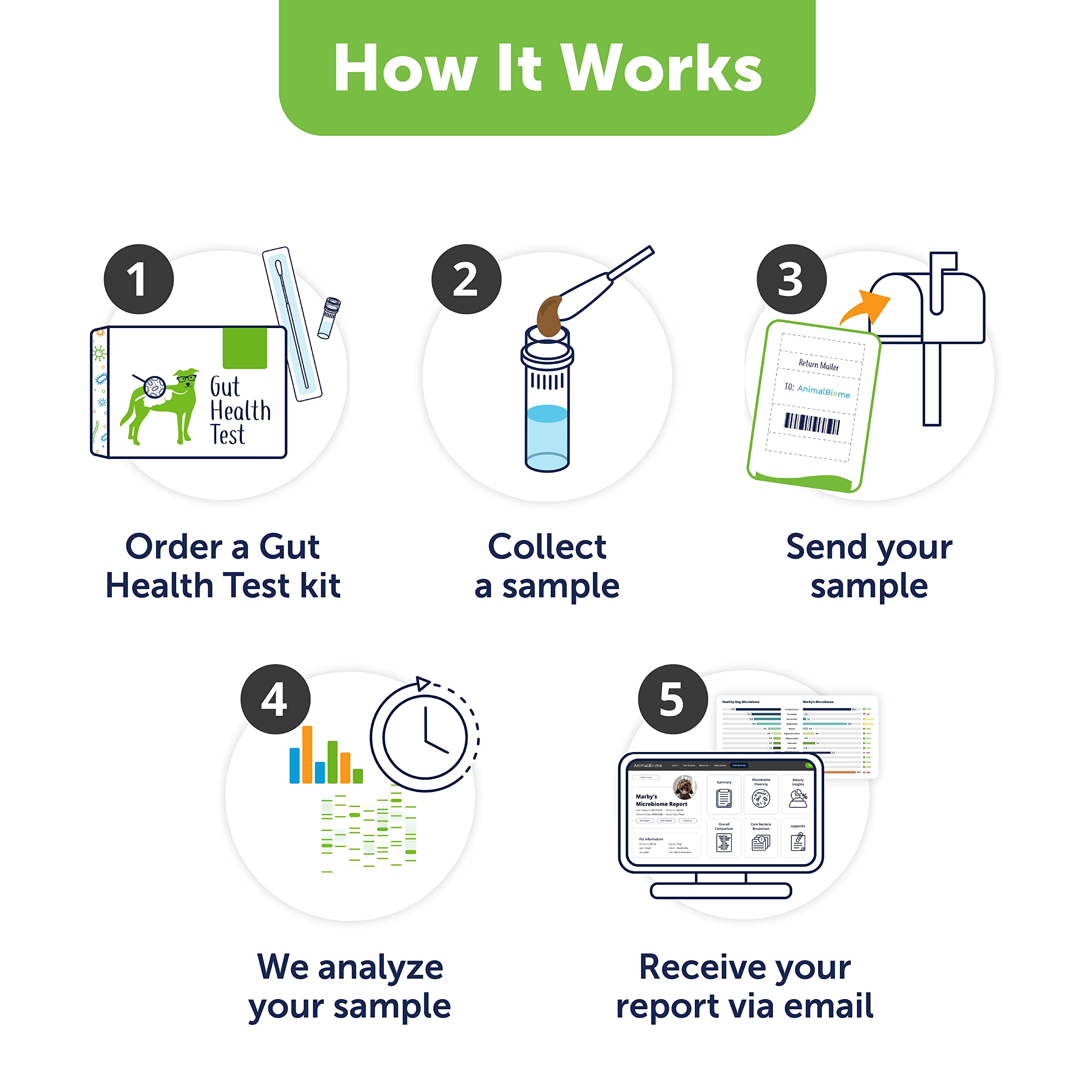 AnimalBiome Dog Gut Health Test – DoggyBiome At Home Stool Testing Kit, Canine Fecal Analysis for Digestive Issues, Diarrhea & Allergy Insights w/Personalized Report & Custom Plan (Dogs in US) AnimalBiome uk supplements