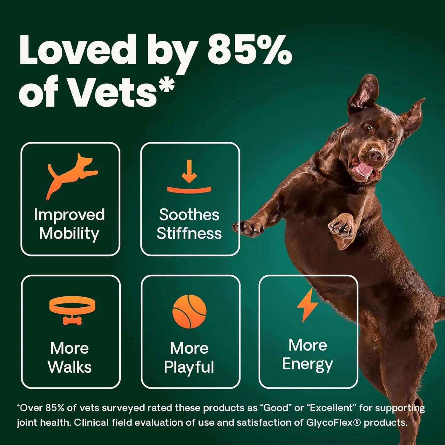 VetriScience Ultimate Strength Healthy Hip & Joint Chews, GlycoFlex Glucosamine, Chondroitin and Green-Lipped Mussel Joint Support Supplement for Dogs, Soothe Joint Discomfort, Duck, 120 Count VETRISCIENCE uk supplements