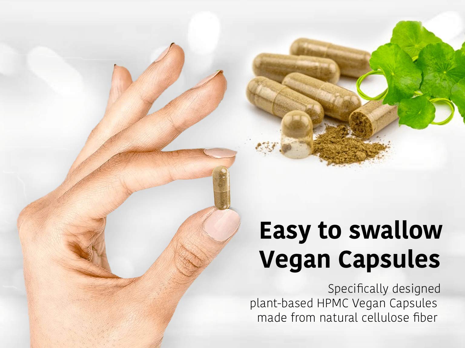 DR WAKDE's Organic Lodhra Capsules (Symplocos racemosa) I 100% Natural Herbal Supplement I 60 Veggie Capsules DR WAKDE's uk supplements