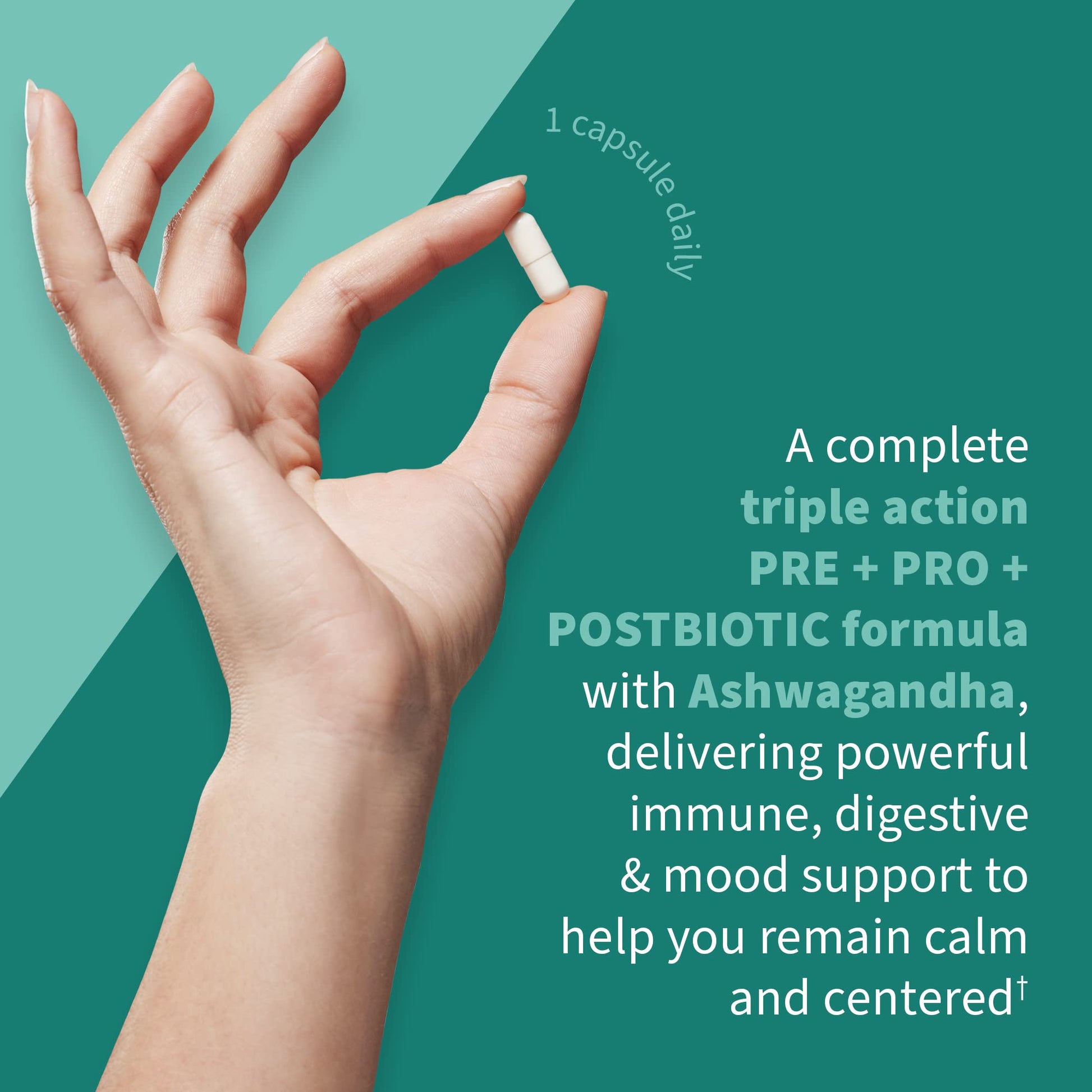 Garden of Life Dr. Formulated Pre, Post & Probiotics Calm 50 Billion CFU Daily 3-in-1 Complete Supplement with Ashwagandha – Mood Support, Digestive & Immune Support, 30 Vegetarian Capsules Garden of Life uk supplements