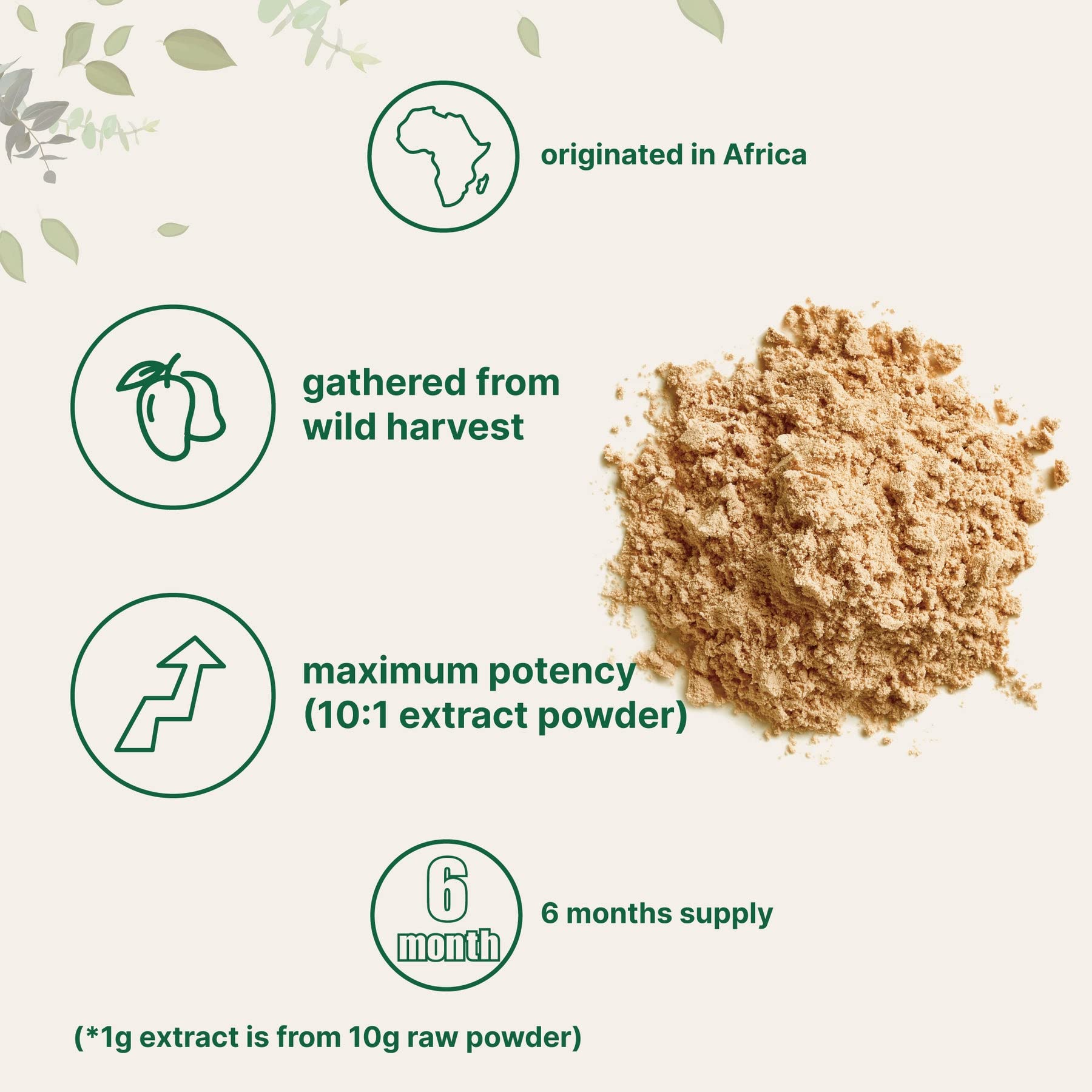 Sustainably Africa Grown, Pure African Mango Powder (Irvingia Gabonensis Powder Micro Ingredients uk supplements