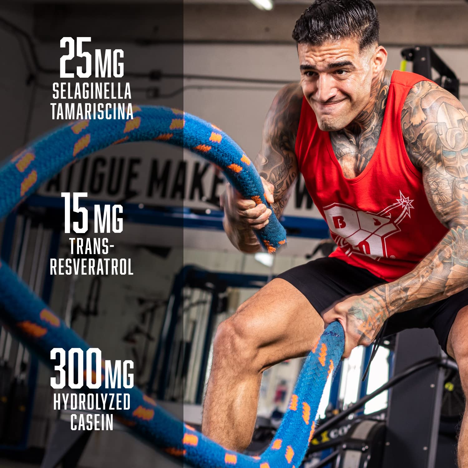 BSN N.O.-XPLODE Vaso Pre Workout Powder with 8g of L-Citulline and 3.2g Beta-Alanine BSN uk supplements