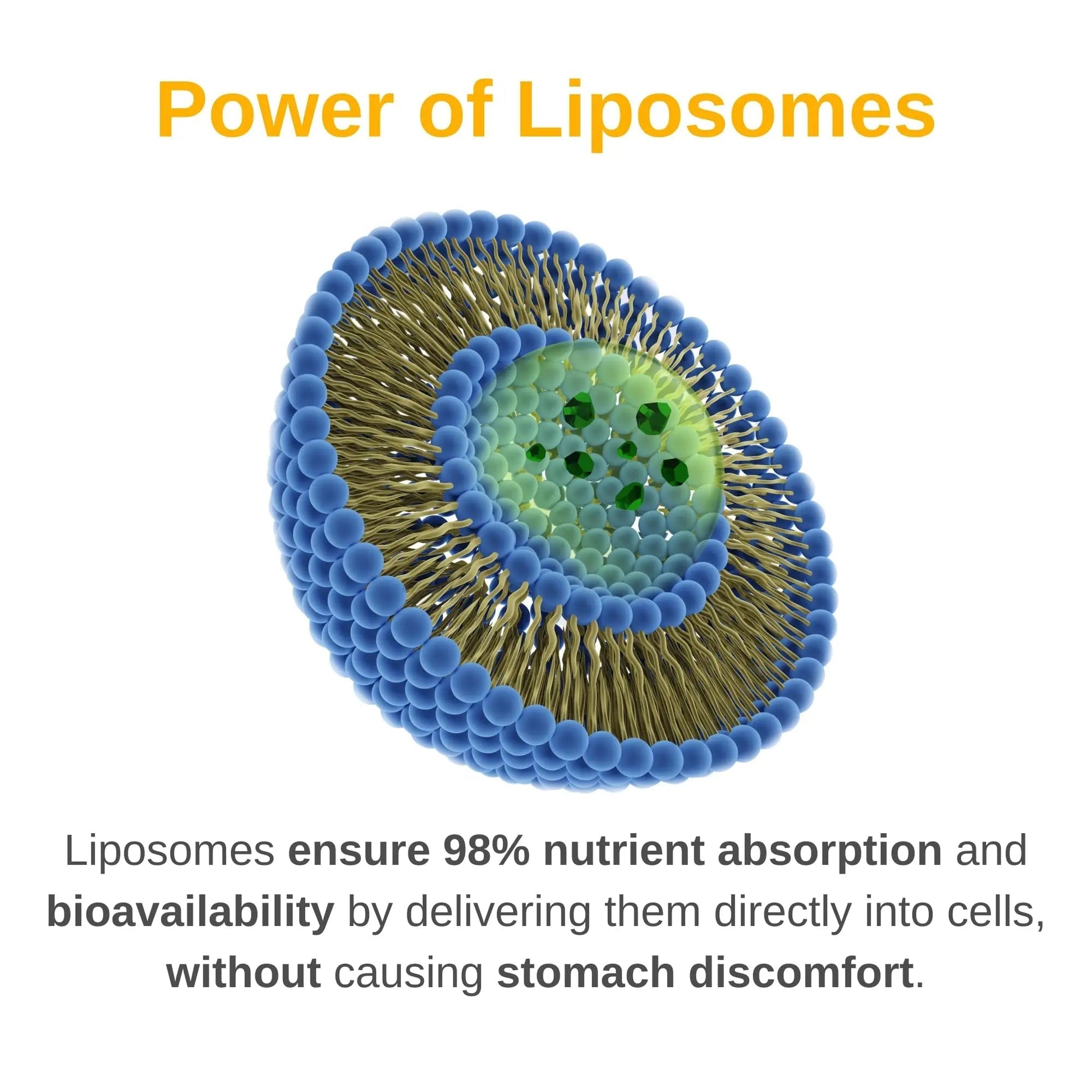 Vitaminally Liposomal Men's Liquid Multivitamin Drops | Non-GMO | Sugar Free | Gluten Free | 30 Day Supply | Vitaminally uk supplements