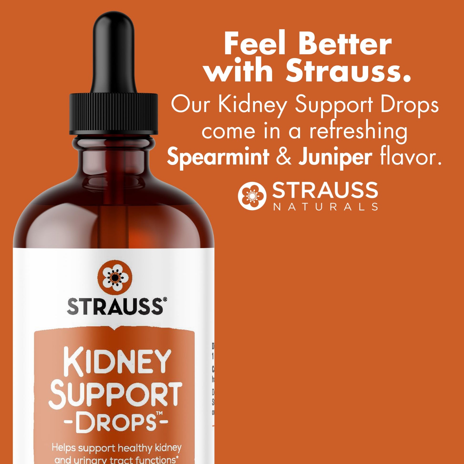 Strauss Naturals Kidney Support Drops – Herbal Kidney Support Supplement for Men and Women – Helps with Kidney Health and Urinary Tract Function – Vegan & Non-GMO – Spearmint Flavored – 100 ml Bottle Strauss Heartdrops uk supplements