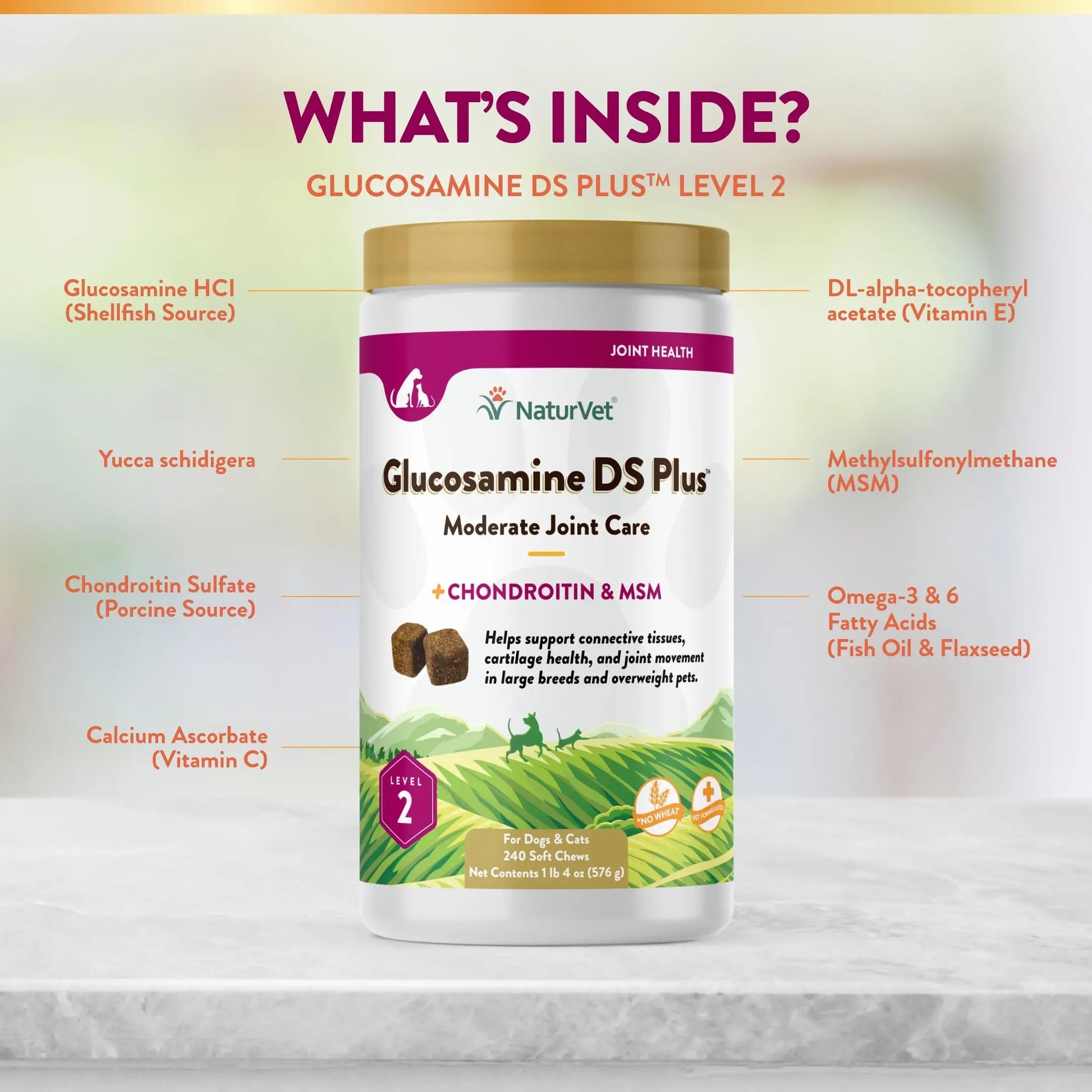 NaturVet – Glucosamine DS Plus - Level 2 Moderate Care – Supports Healthy Hip & Joint Function – Enhanced with Glucosamine, MSM & Chondroitin – for Dogs & Cats – 240 Soft Chews NaturVet uk supplements