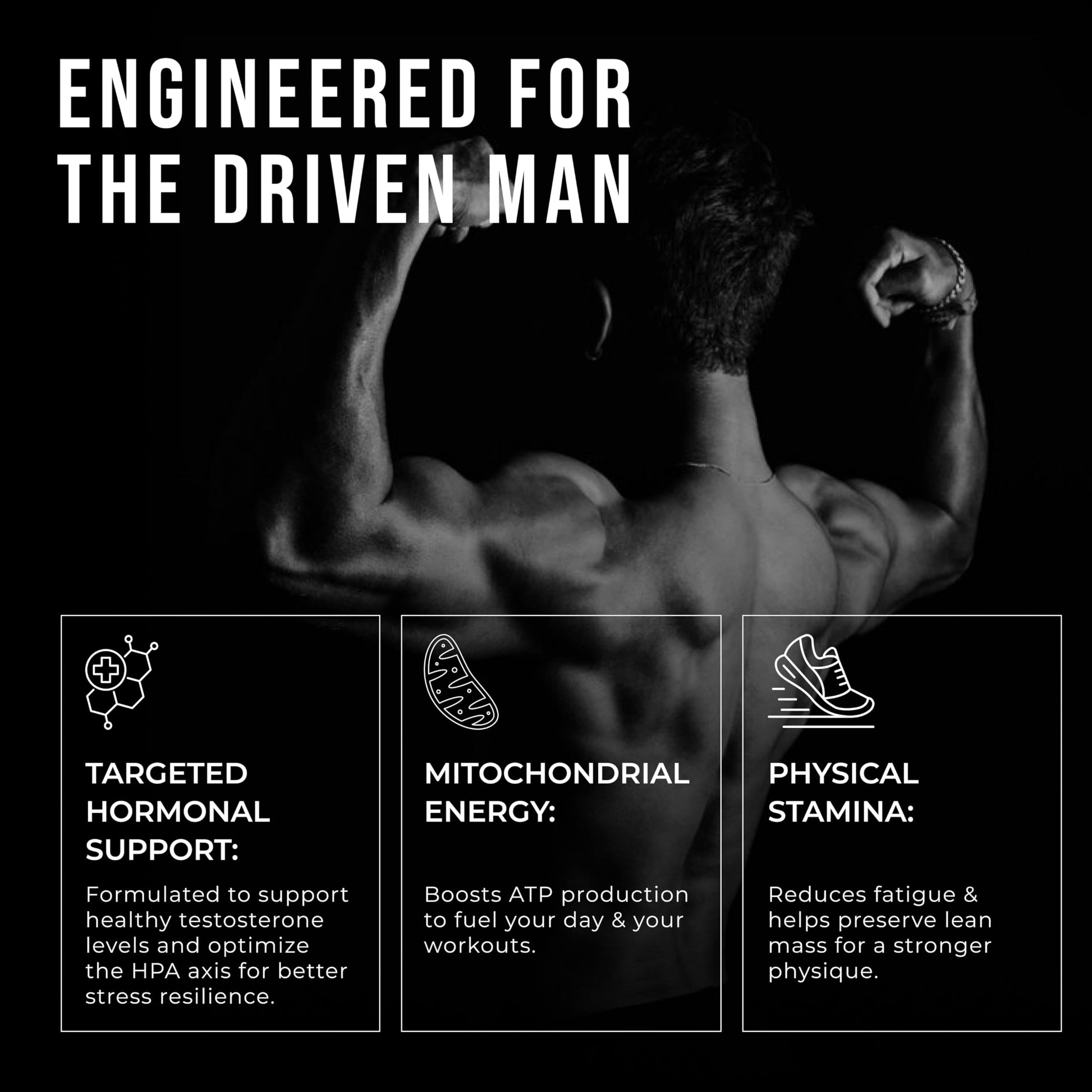 ERODUS Formula for Men - Advanced Testosterone Support Powder - Energy & Gym Supplement for Men - Supports Healthy Testosterone Levels & Physical Performance - with Ashwagandha (30 Day Supply) ERODUS uk supplements