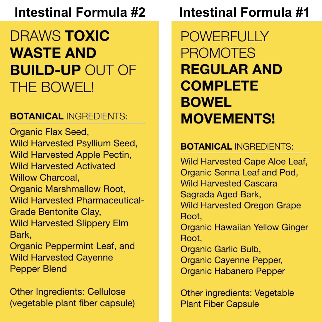 Dr. Schulze's Intestinal Formula #2 (8 Ounces) and Intestinal Formula #1 Capsules (90 Capsules) - Organic Herbal Supplements Dr. Schulze's uk supplements