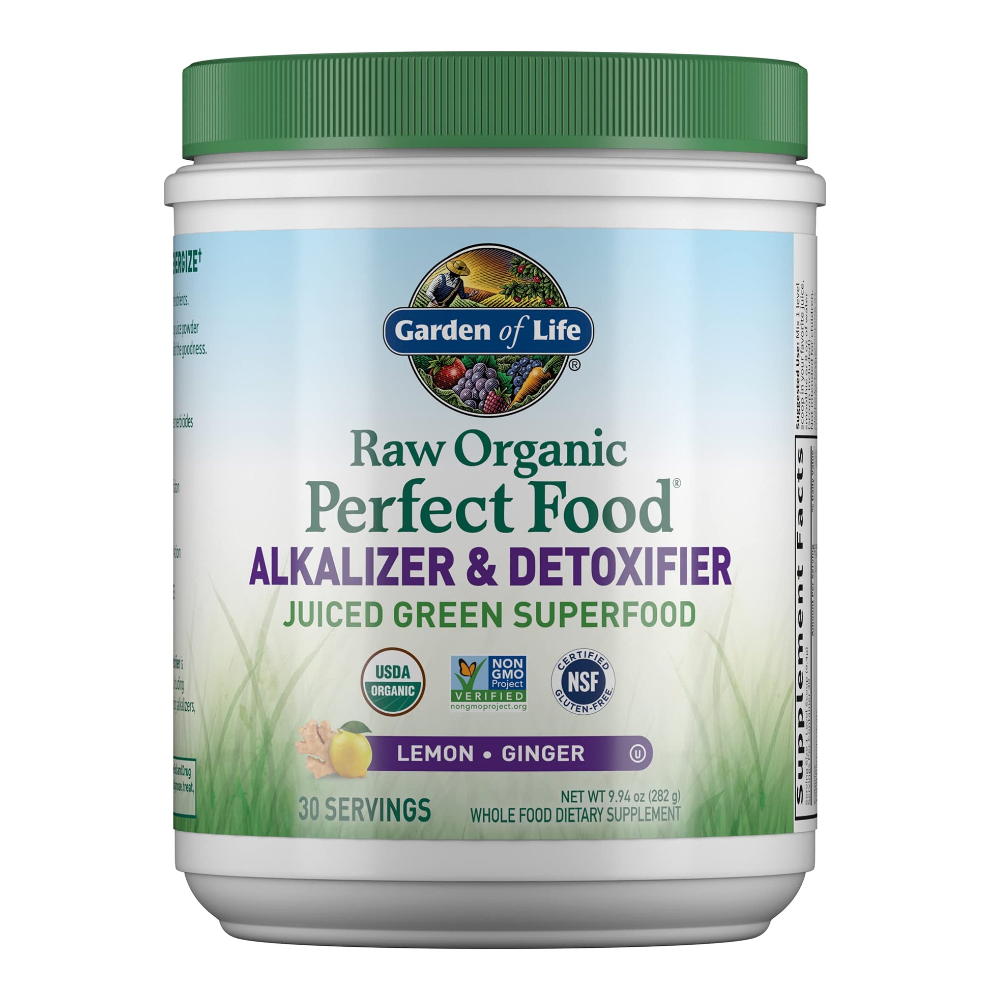 Garden of Life Raw Organic Perfect Food Alkalizer & Detoxifier Juiced Greens Superfood Garden of Life uk supplements