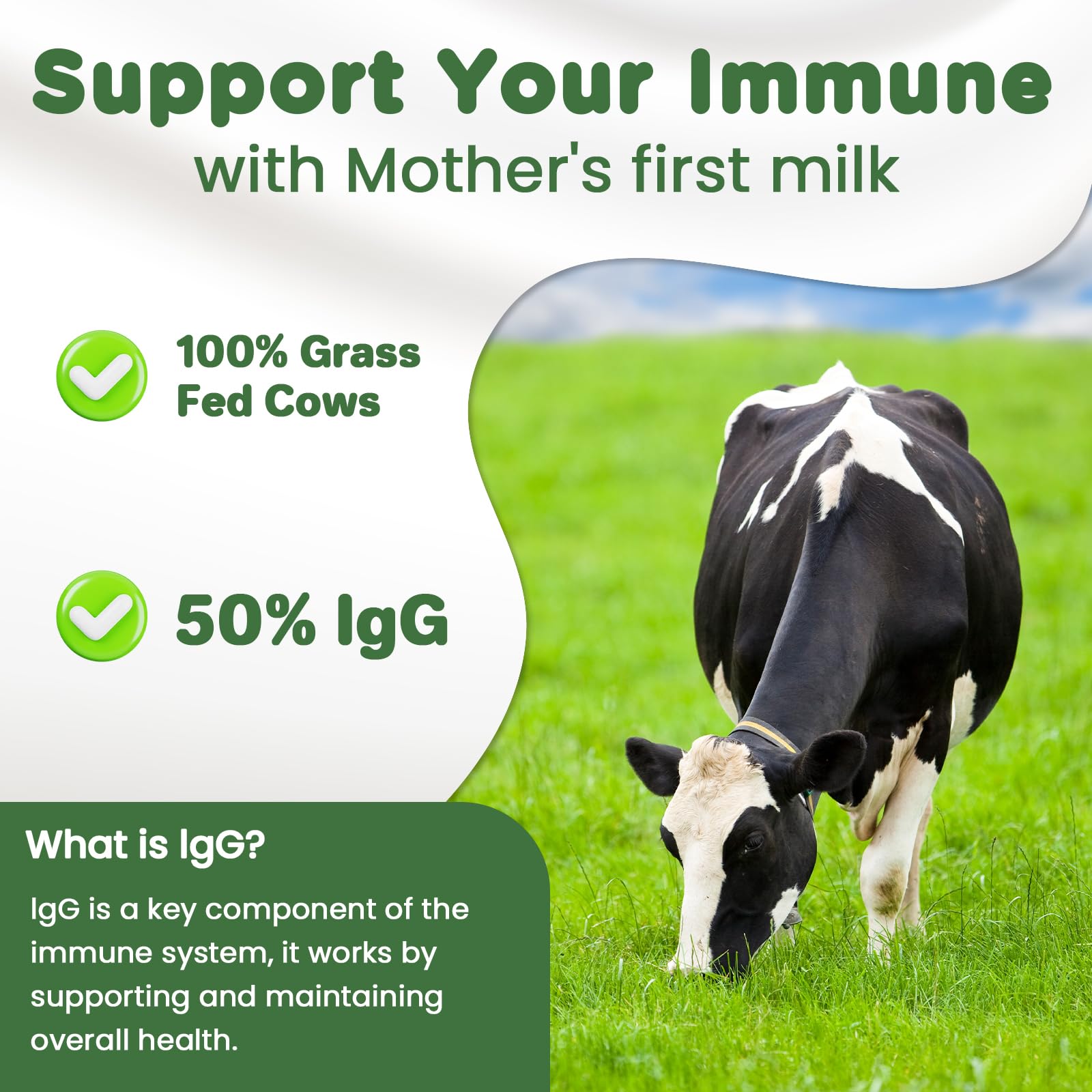 MICYDELAS Bovine Colostrum Supplement Powder 50% IgG Premium Bovine Colostrum for Gut Health Support, Immune Support, Muscle Recovery & Overall Wellness, Grass Fed, Non-GMO, Unflavored, 60 Servings MICYDELAS uk supplements