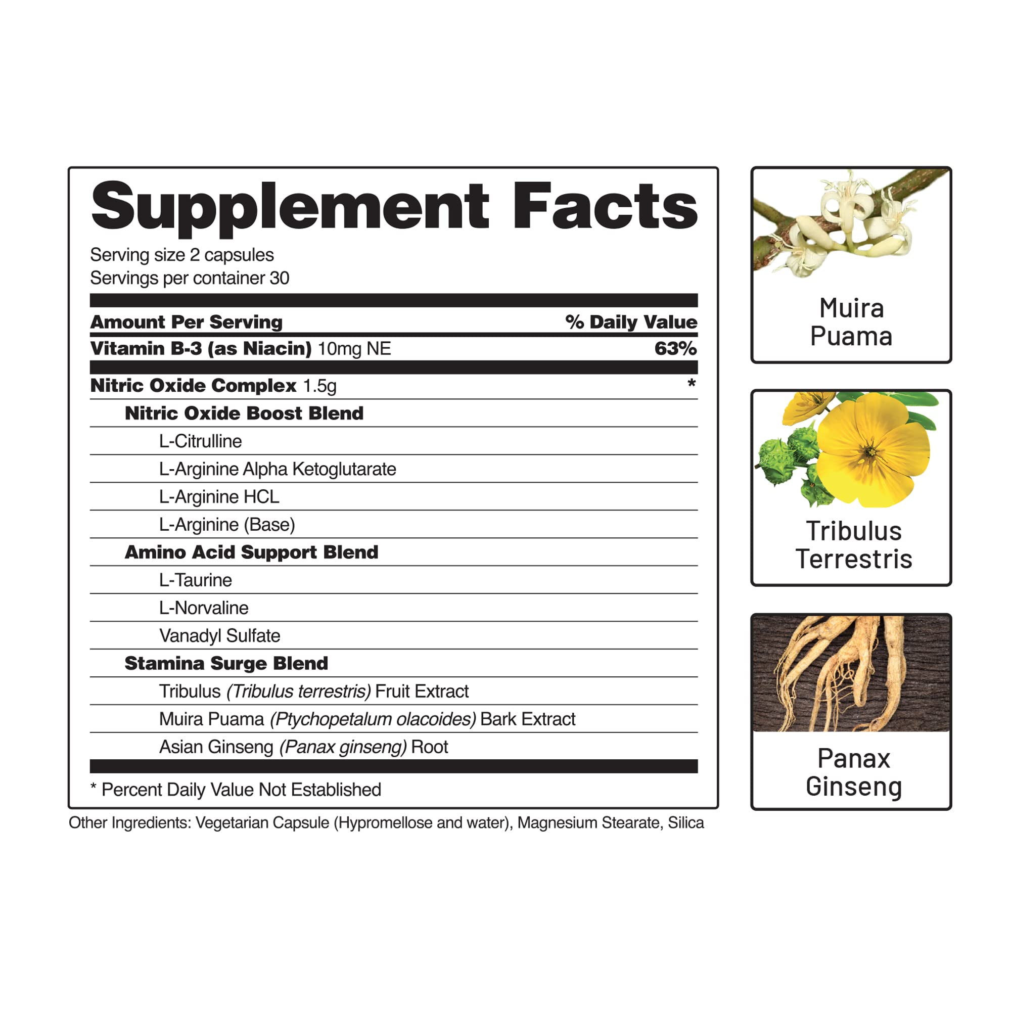 Snap Supplements Nitric Oxide Booster and Beet Powder Snap Supplements uk supplements