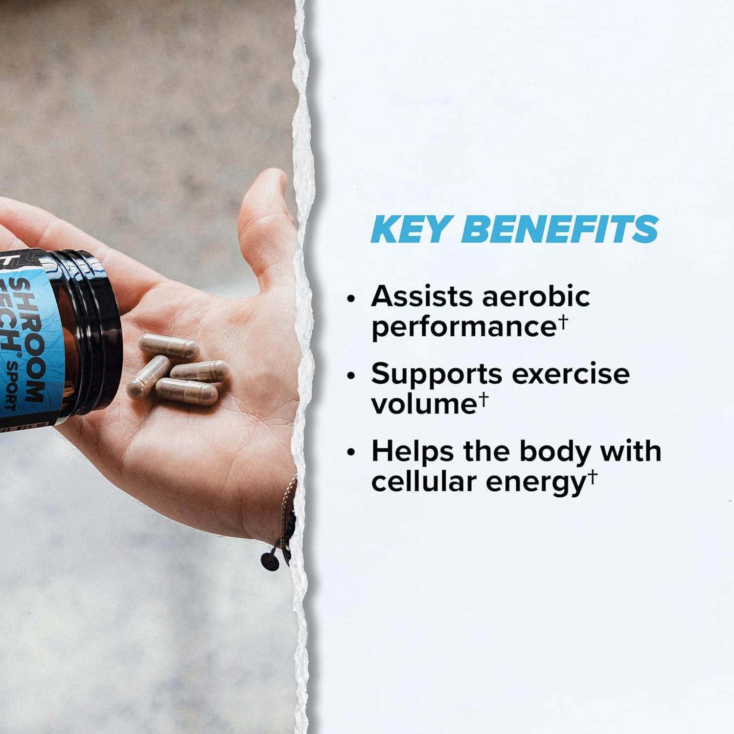 ONNIT Cognitive & Endurance Support Bundle: Alpha Brain Nootropic Capsules (30 Count) + Shroom Tech Sport Exercise Support Capsules (28 Count), IGEN Non-GMO Tested Focus, Energy & Endurance, 2 Pack ONNIT uk supplements